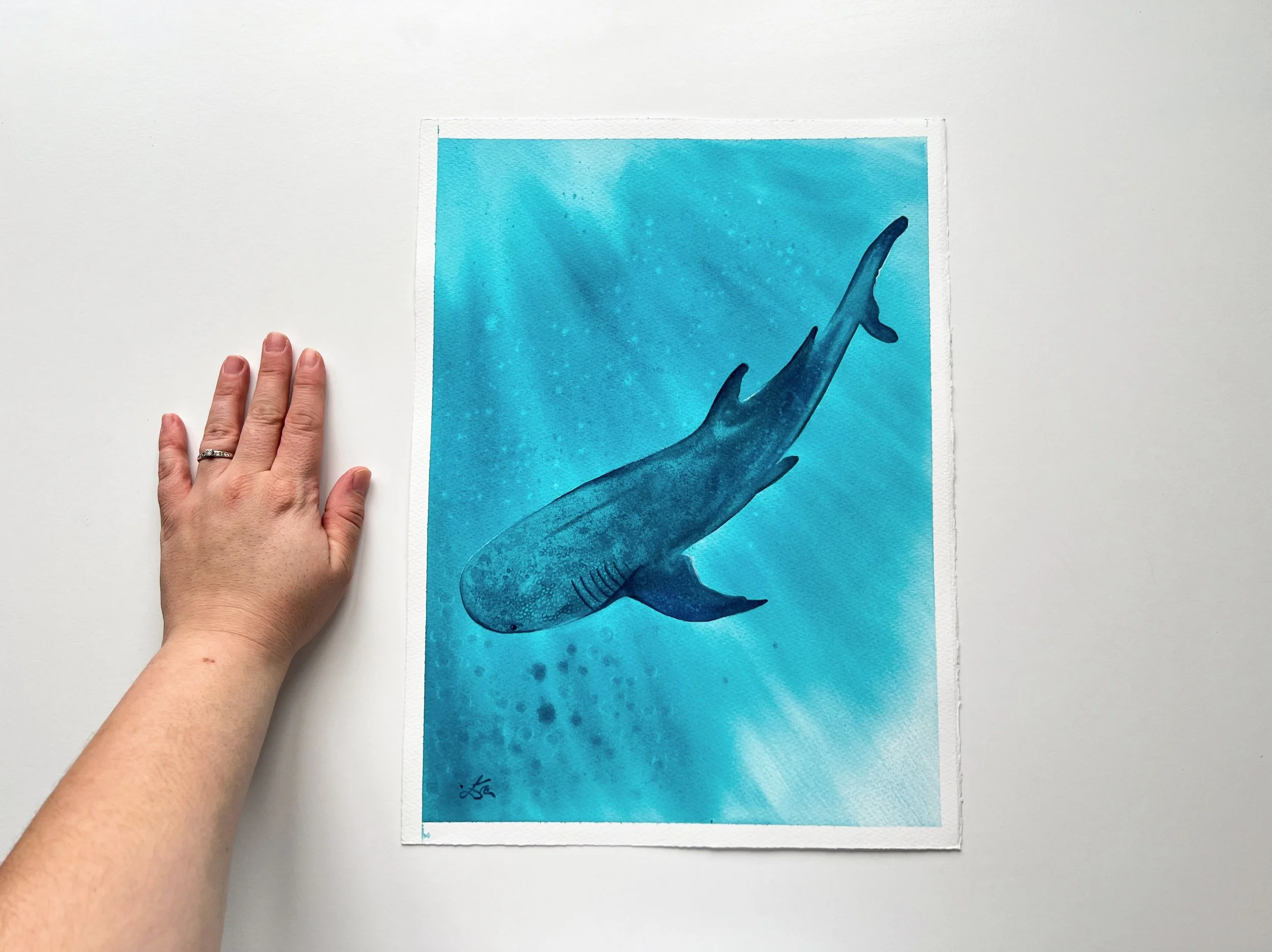 A closeup of a whale shark swimming underwater next to my hand, so you can imagine the size of the painting. It`s a bit smaller than A3.