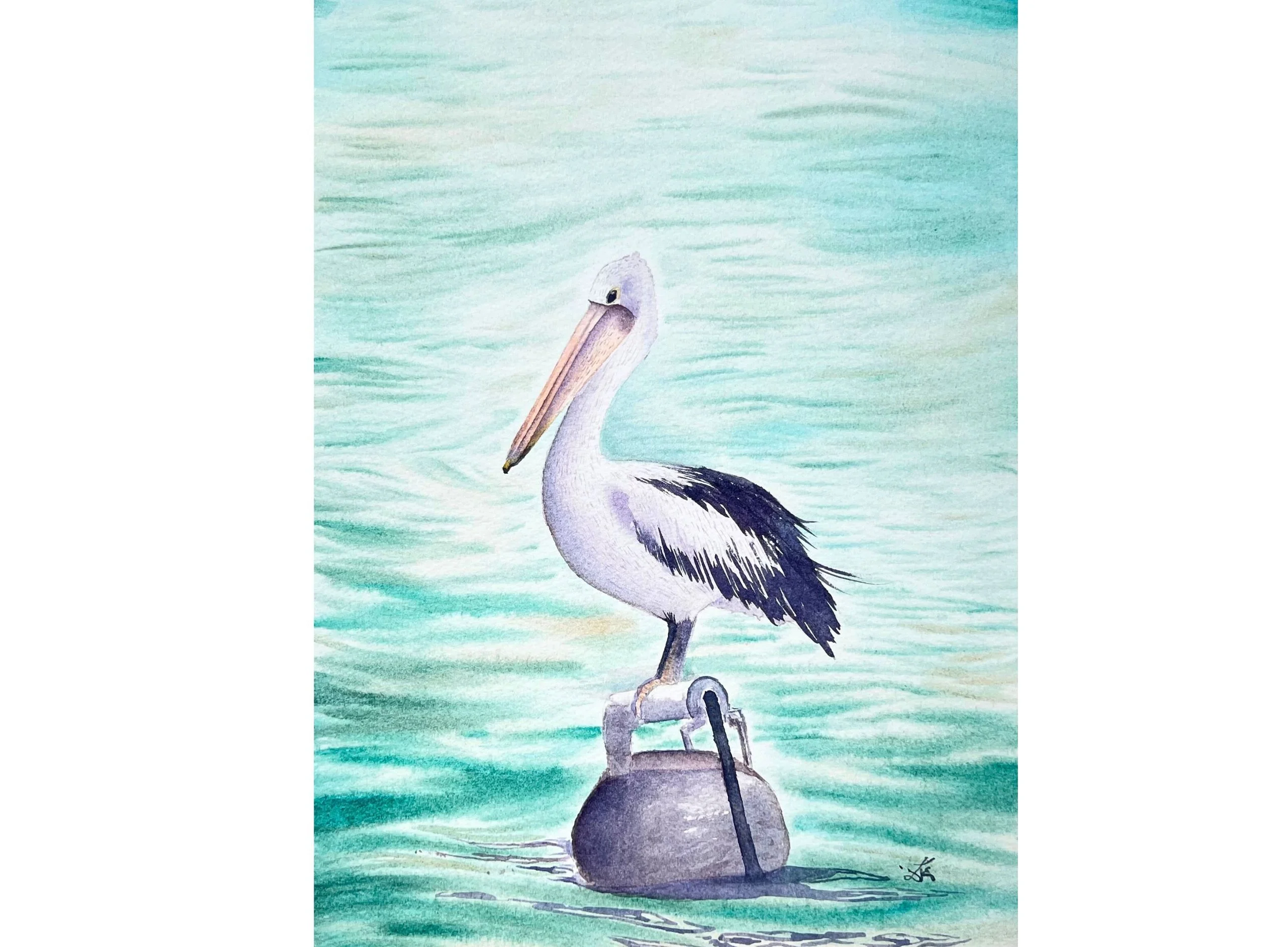 Australian Pelican Original Watercolor Painting Unframed- Wildlife Art for Rustic Homes