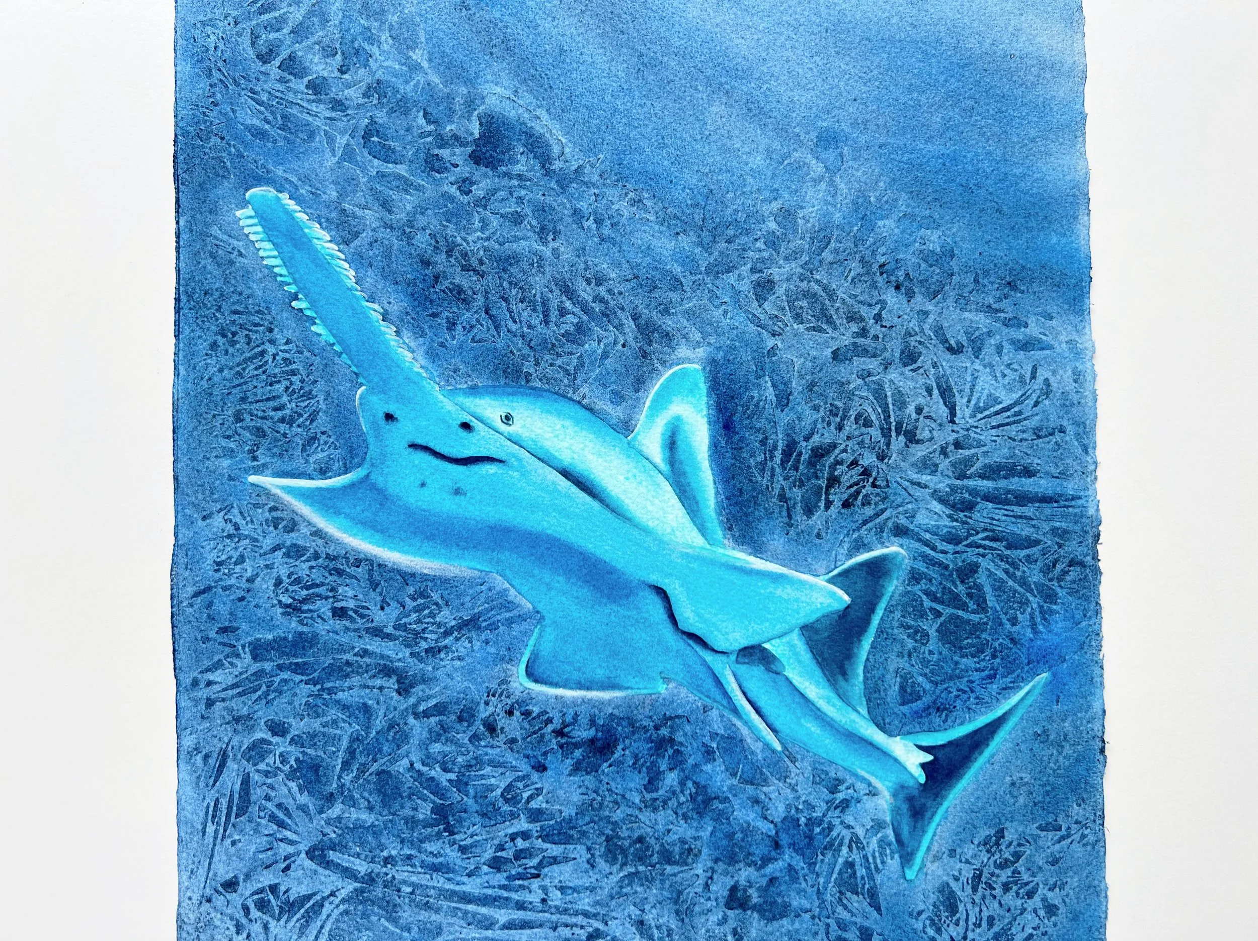 Close up of Original Watercolor Painting of a Carpenter Shark ( Sawfish)