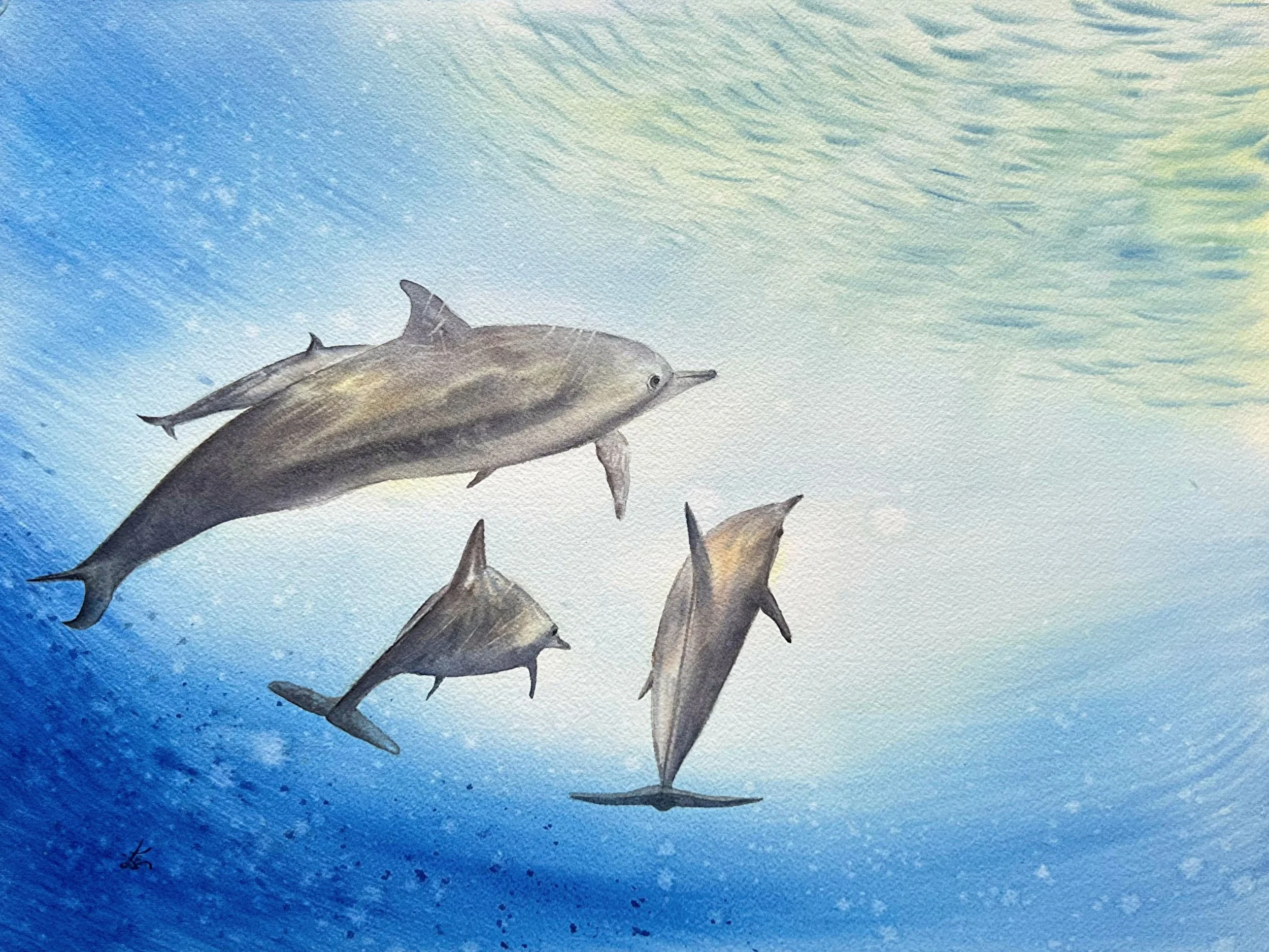 Dolphins Swimming Up: Watercolor Marine Mammals & Underwater Creatures