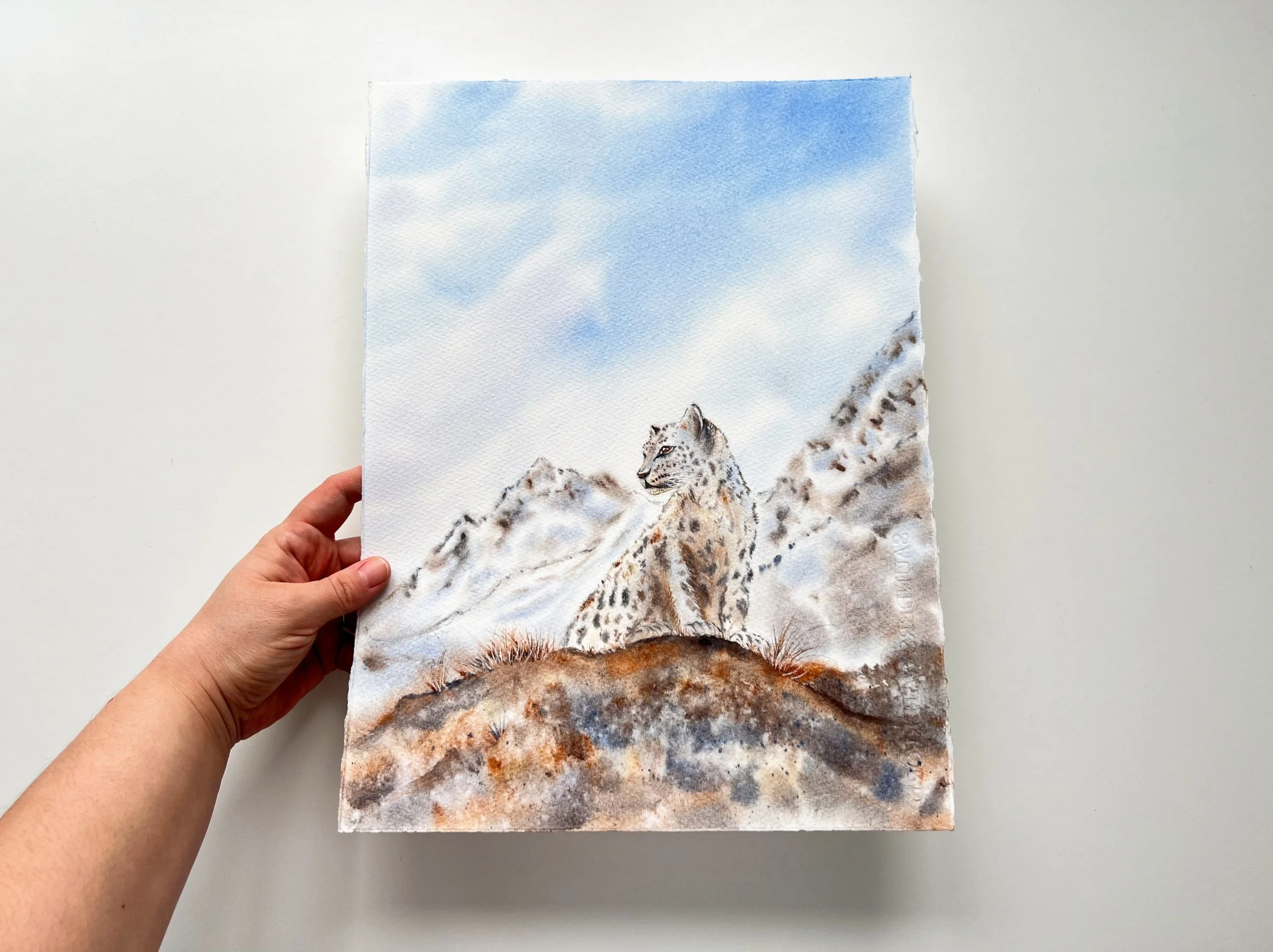 This si an Original Wildlife Watercolor Painting of a Snow Leopard siting on a brown mossy cliff in front of a snowy mountain in my hand for size