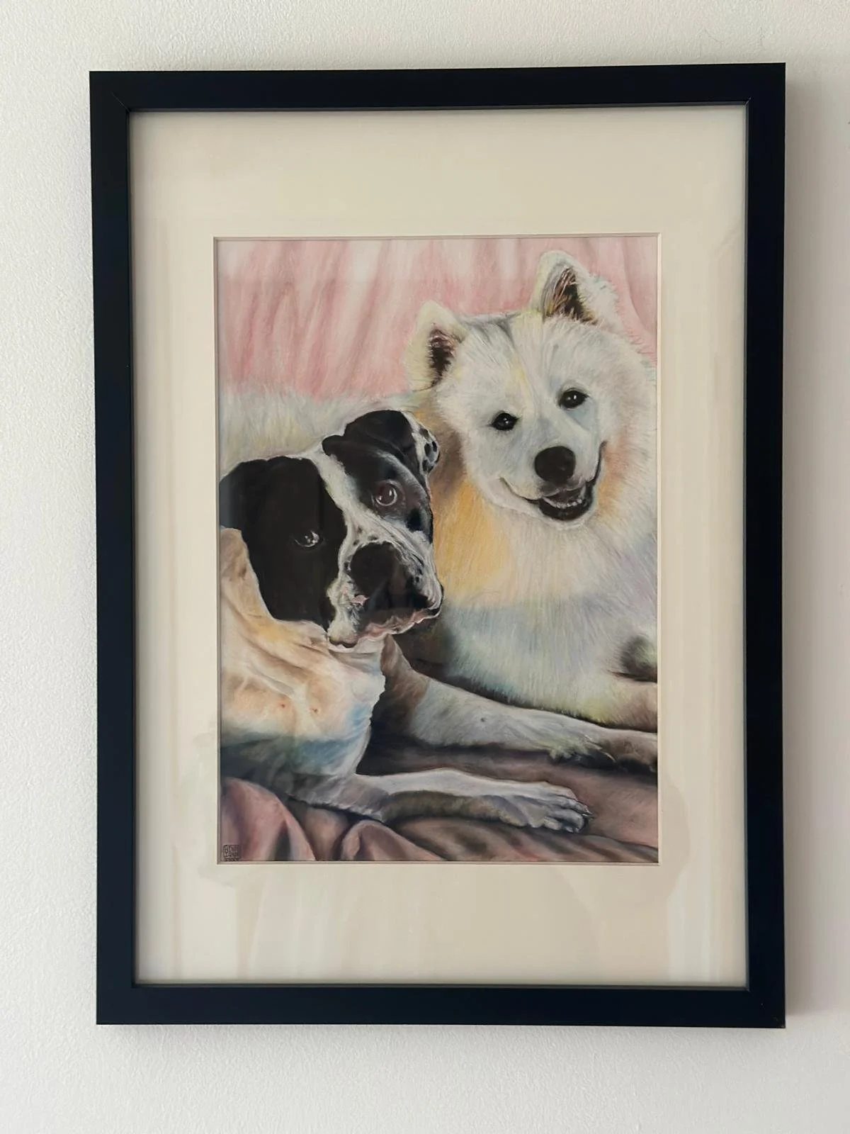 Zeus & Koda December 2025 Framed.jpeg