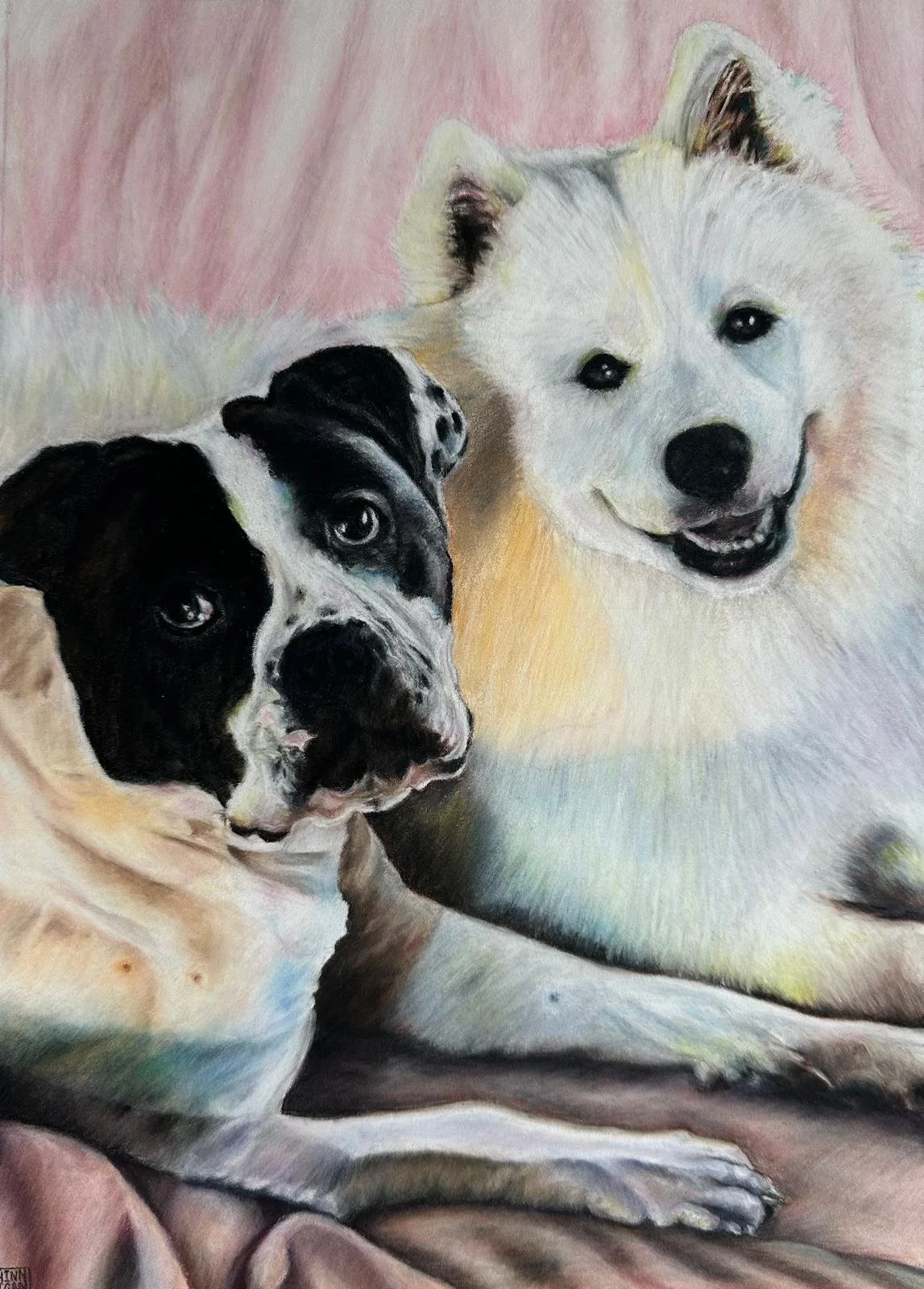 Zeus & Koda December 2025.jpeg