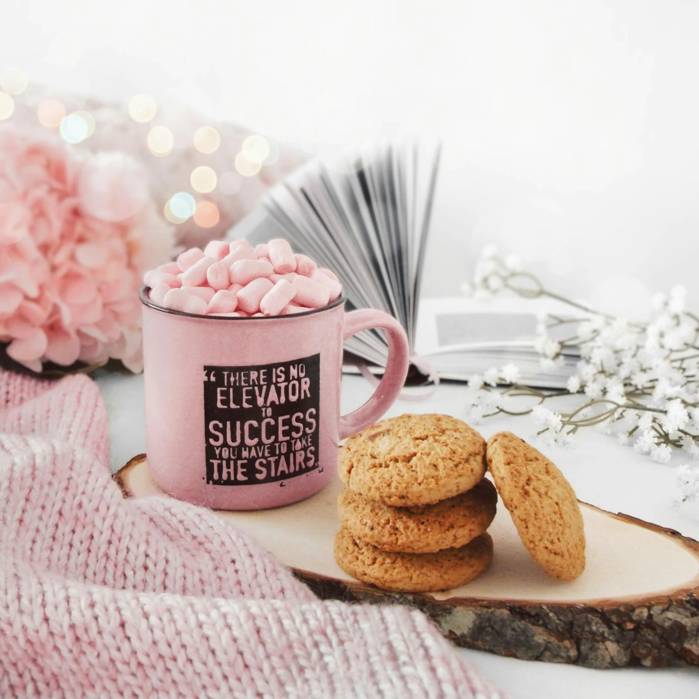 ginger bisciuts on plate next to a pink mug on which says 'there is no elevator to success; you have to take the stairs'