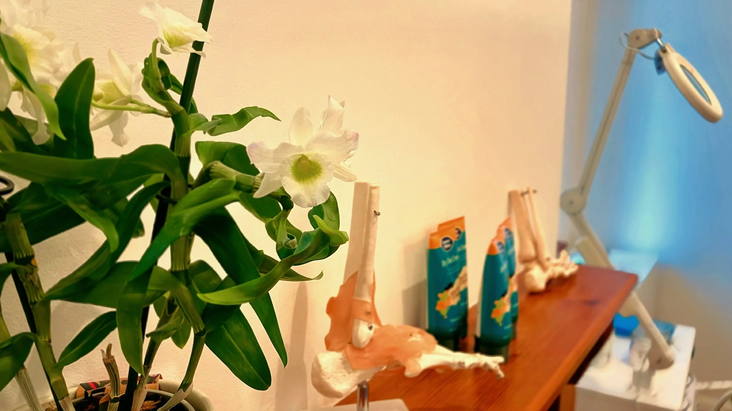 treatment room for foot health in North Bristol