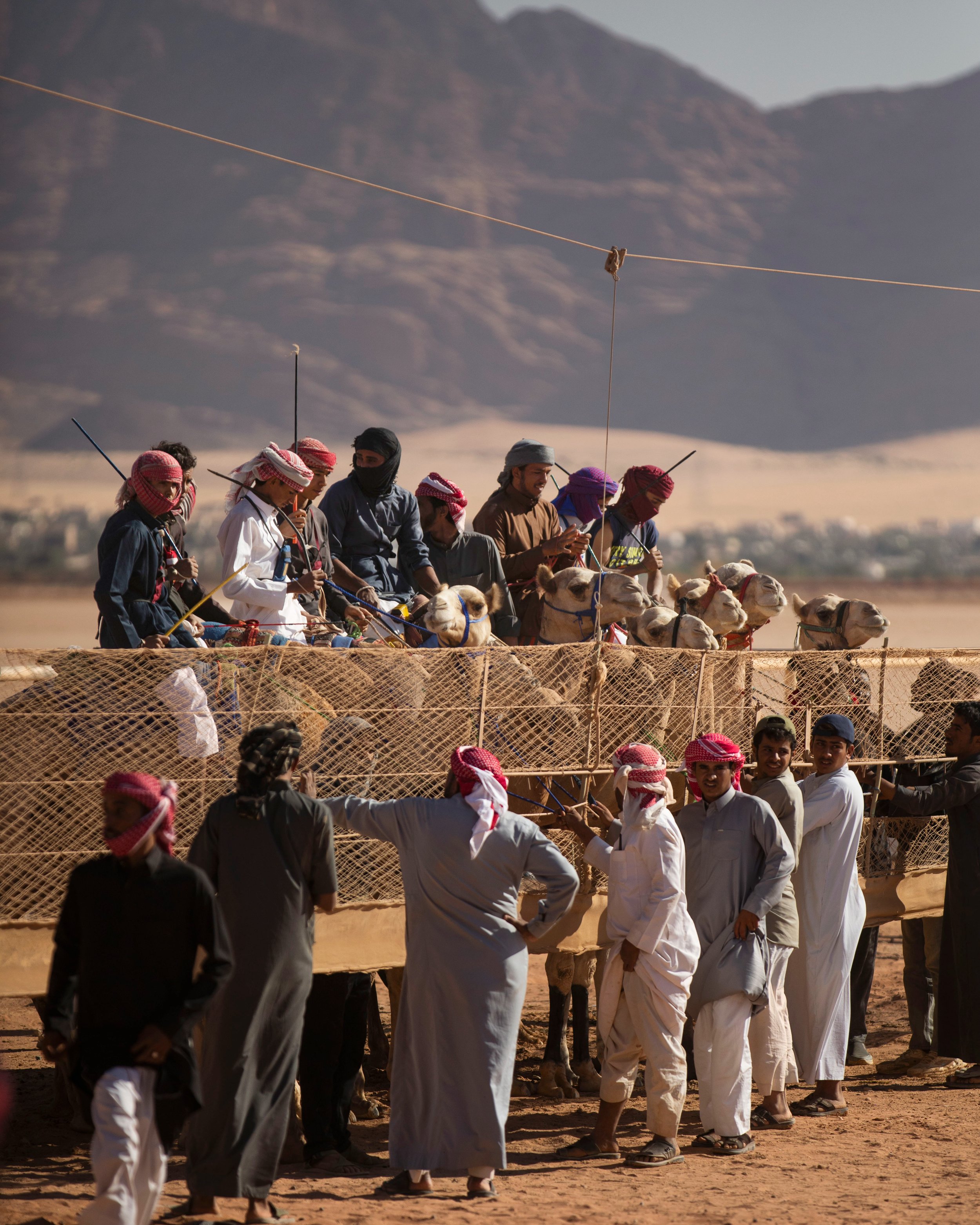 CamelRace4.jpg
