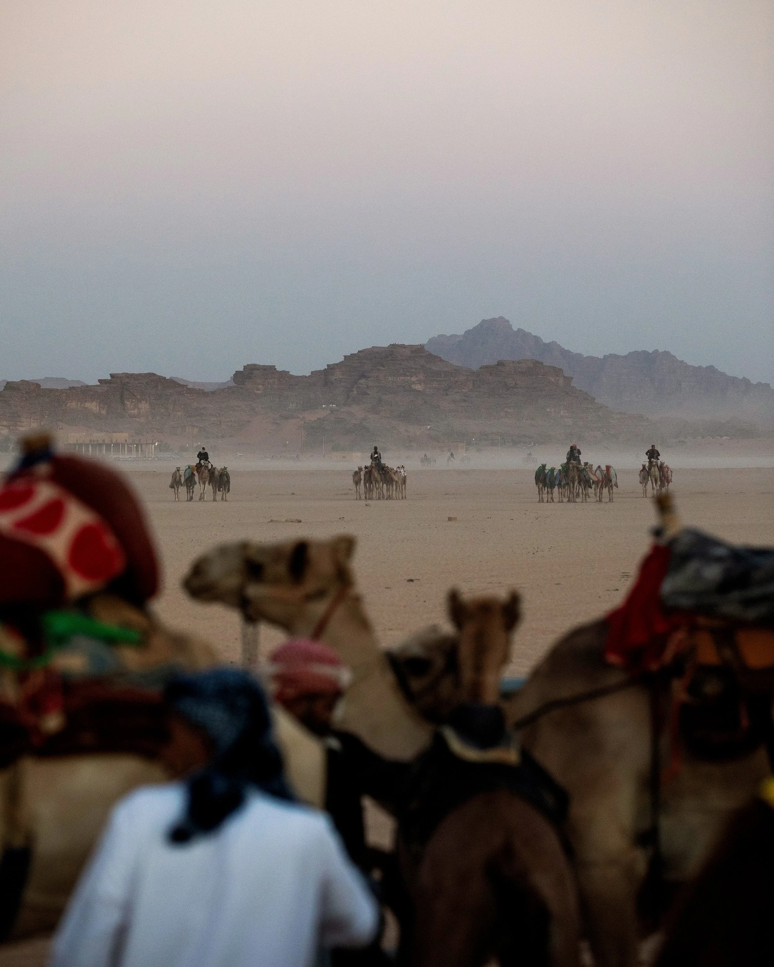 CamelRace1.jpg