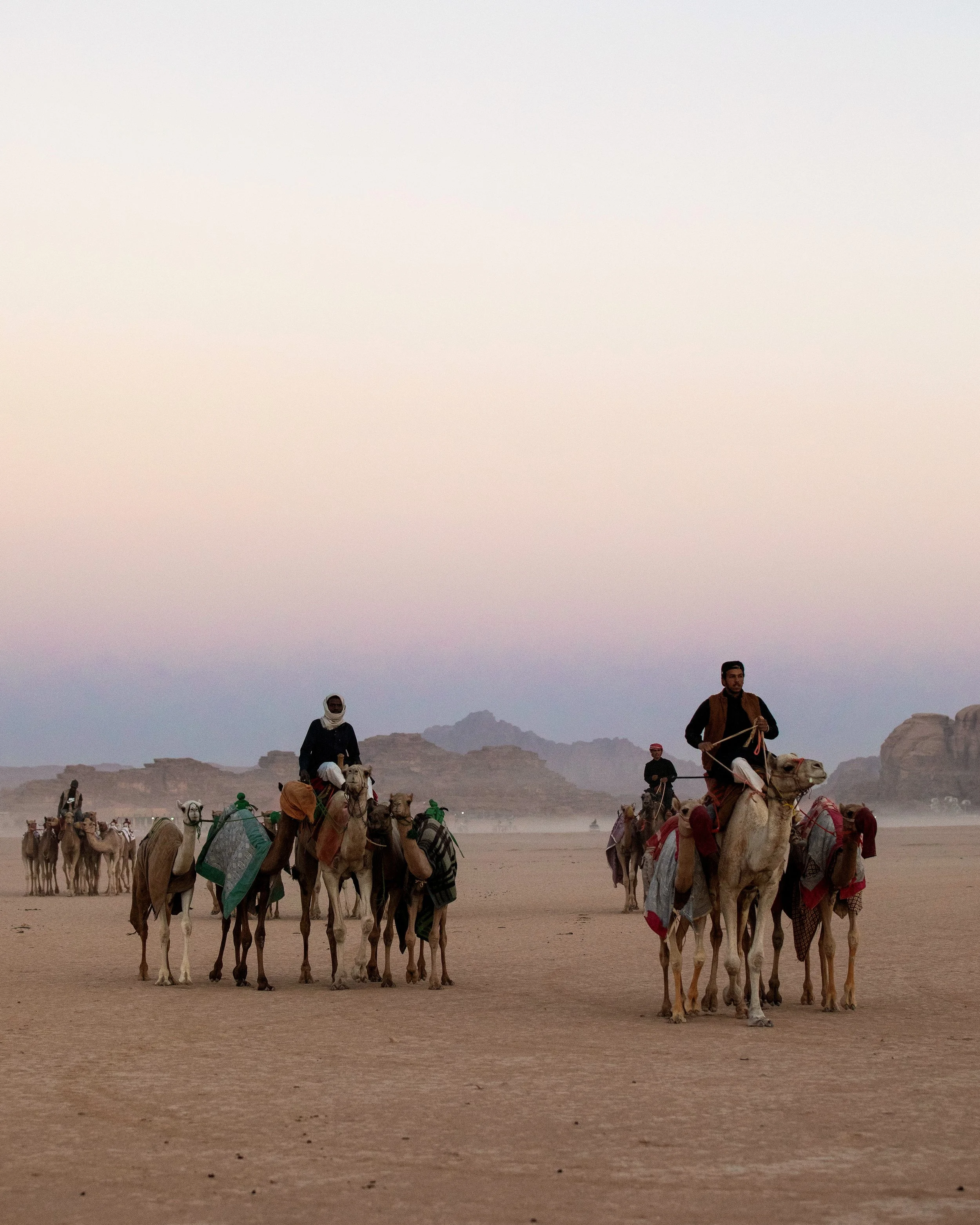 CamelRace2.jpg