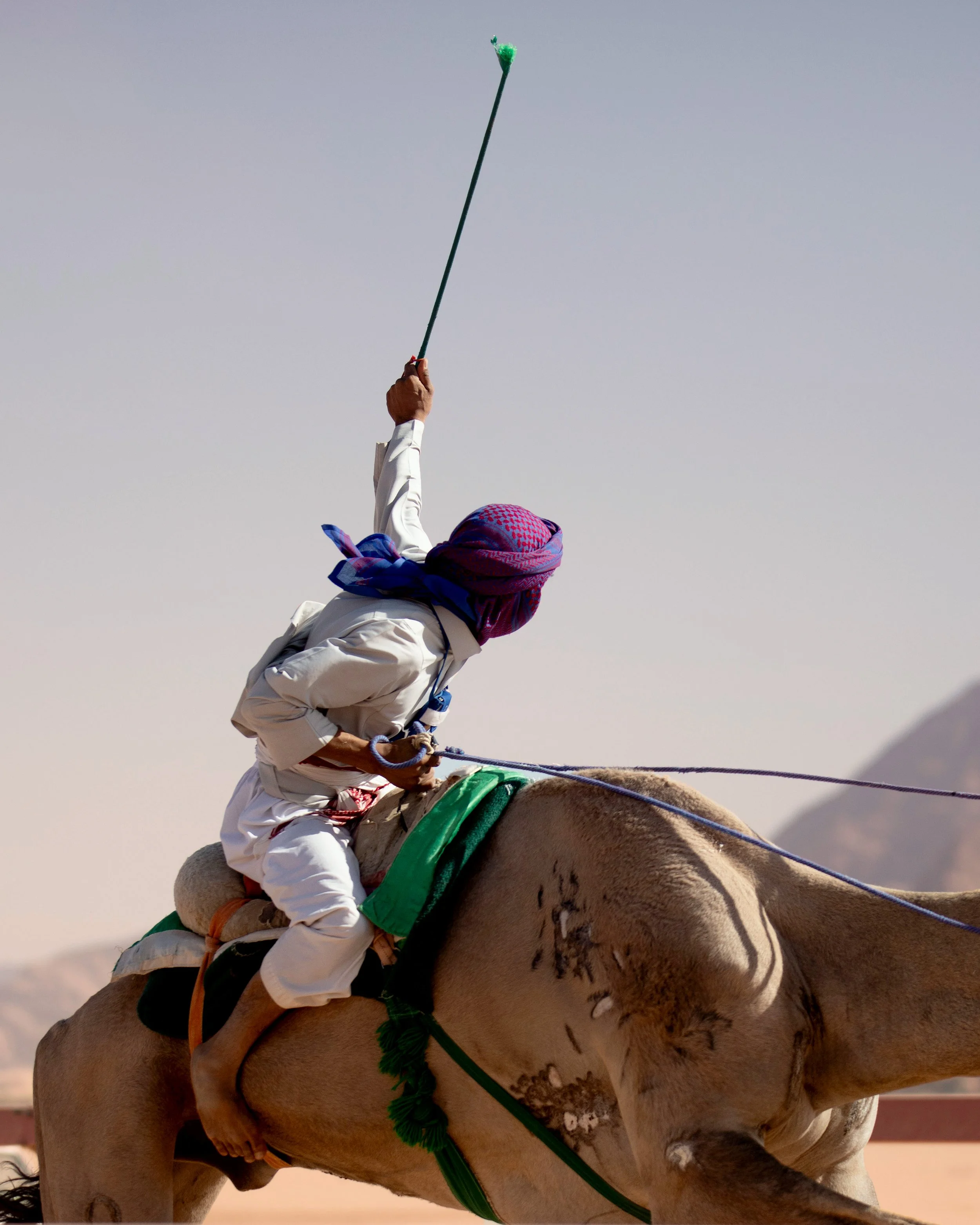 CamelRace6.jpg