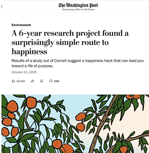 Screenshot 2025-11-10 at 1.43.21 PM.png