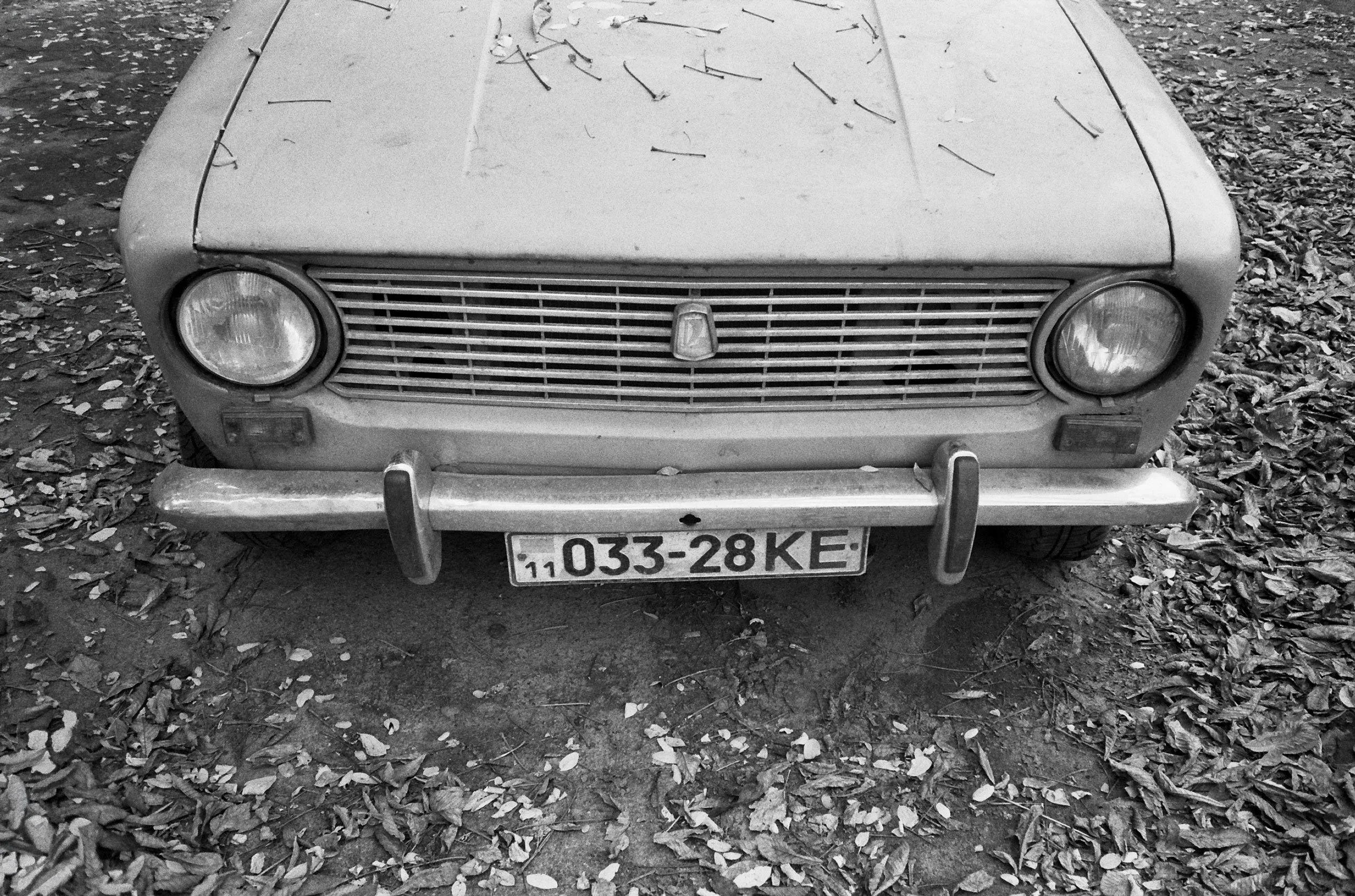 6_0115.jpg