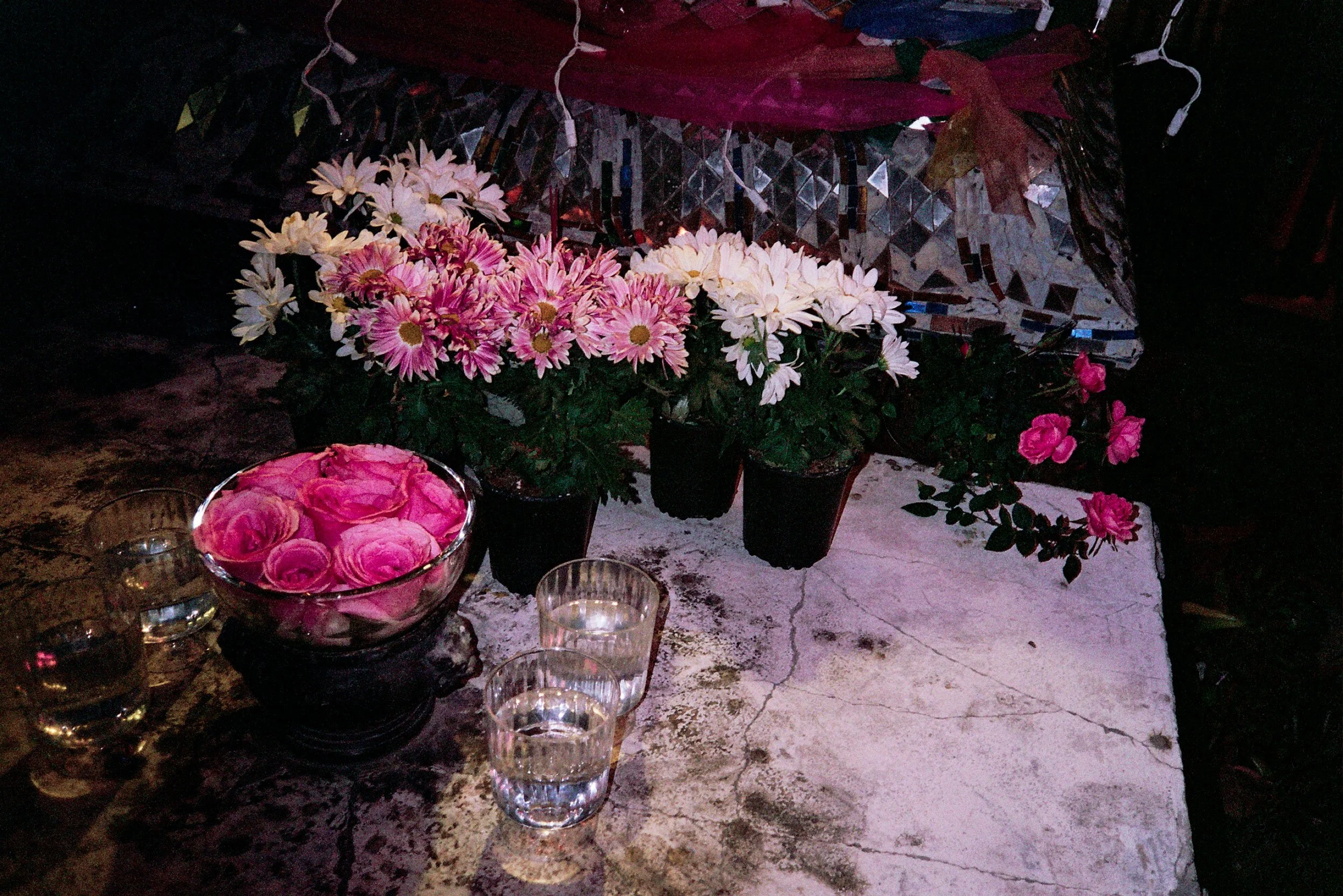 5_33A_0090.jpg