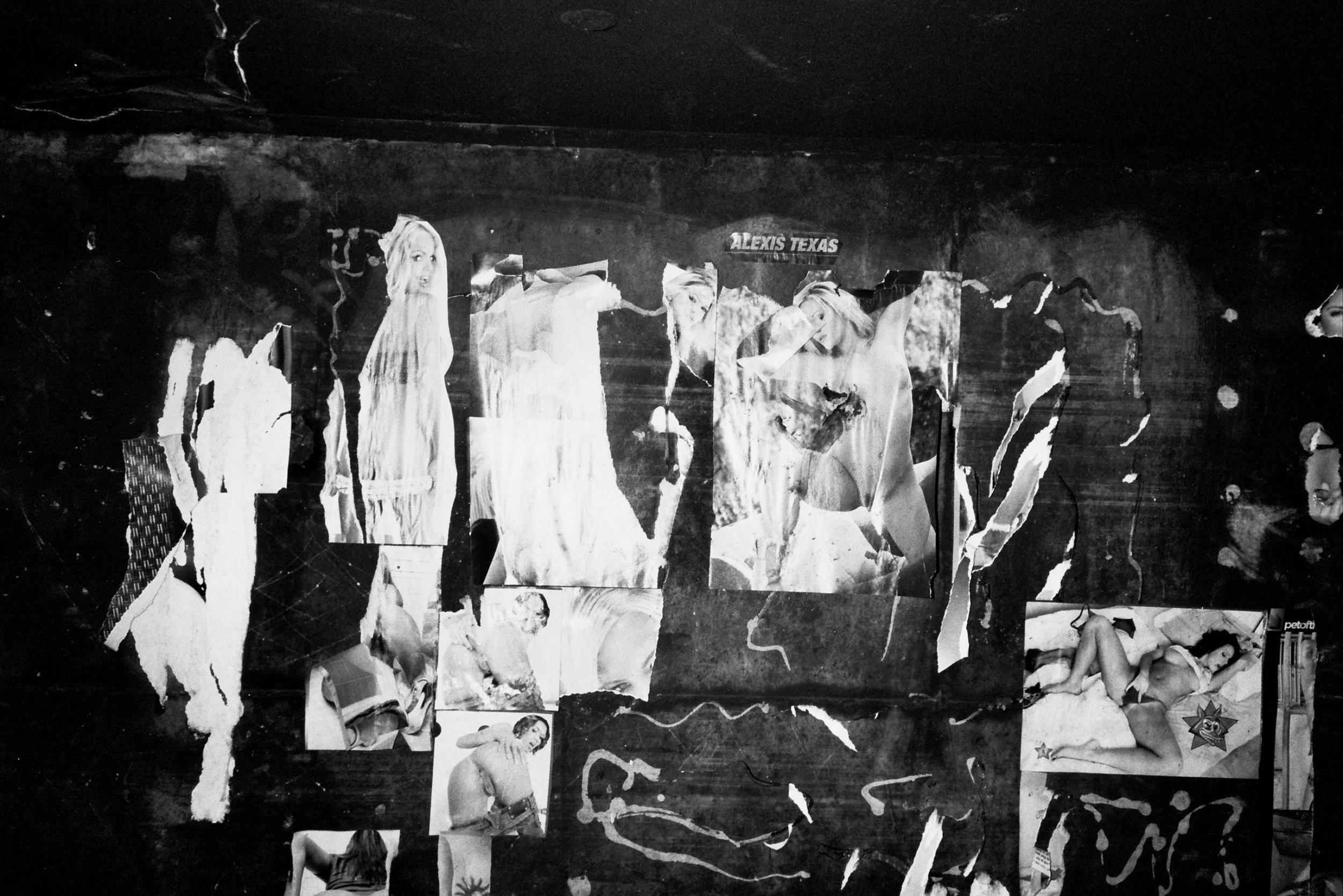 2_1188.jpg