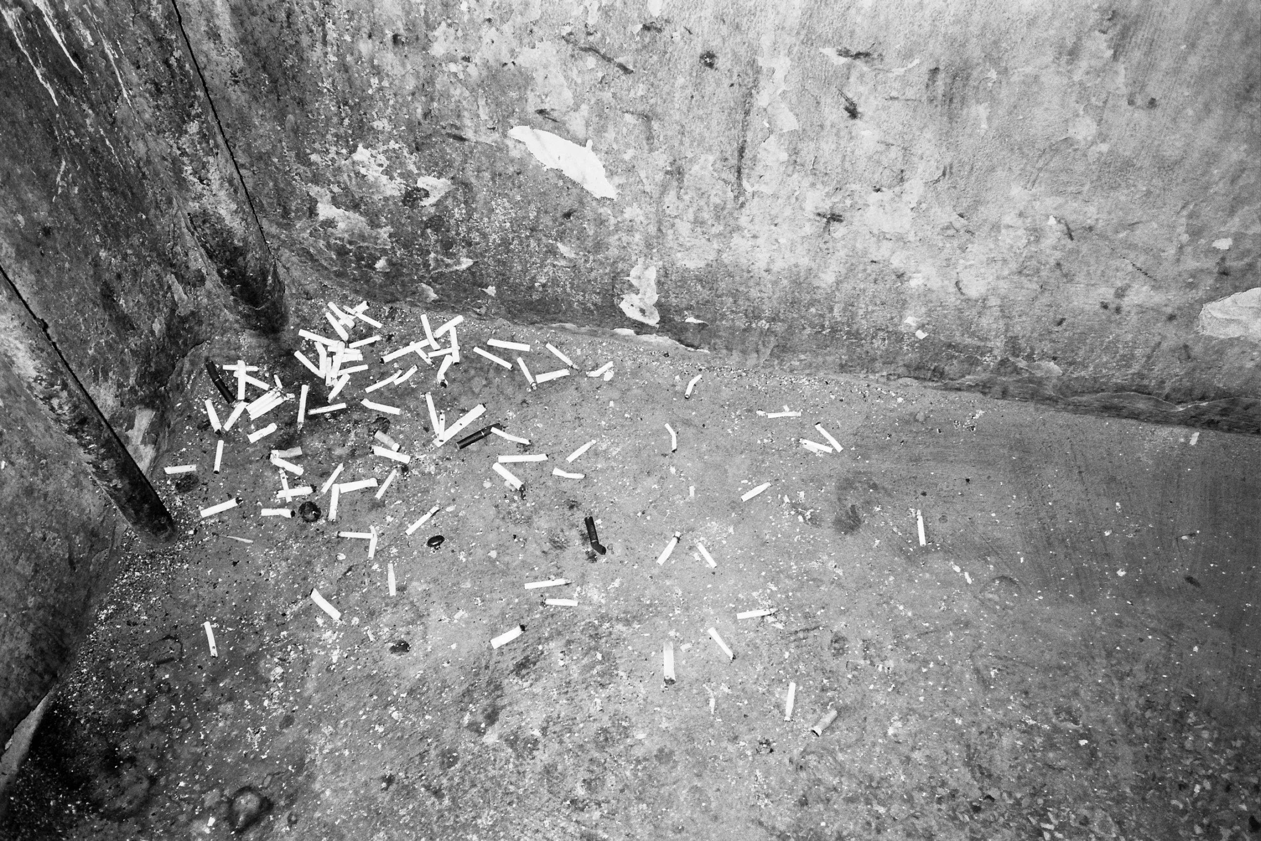 5_0106.jpg