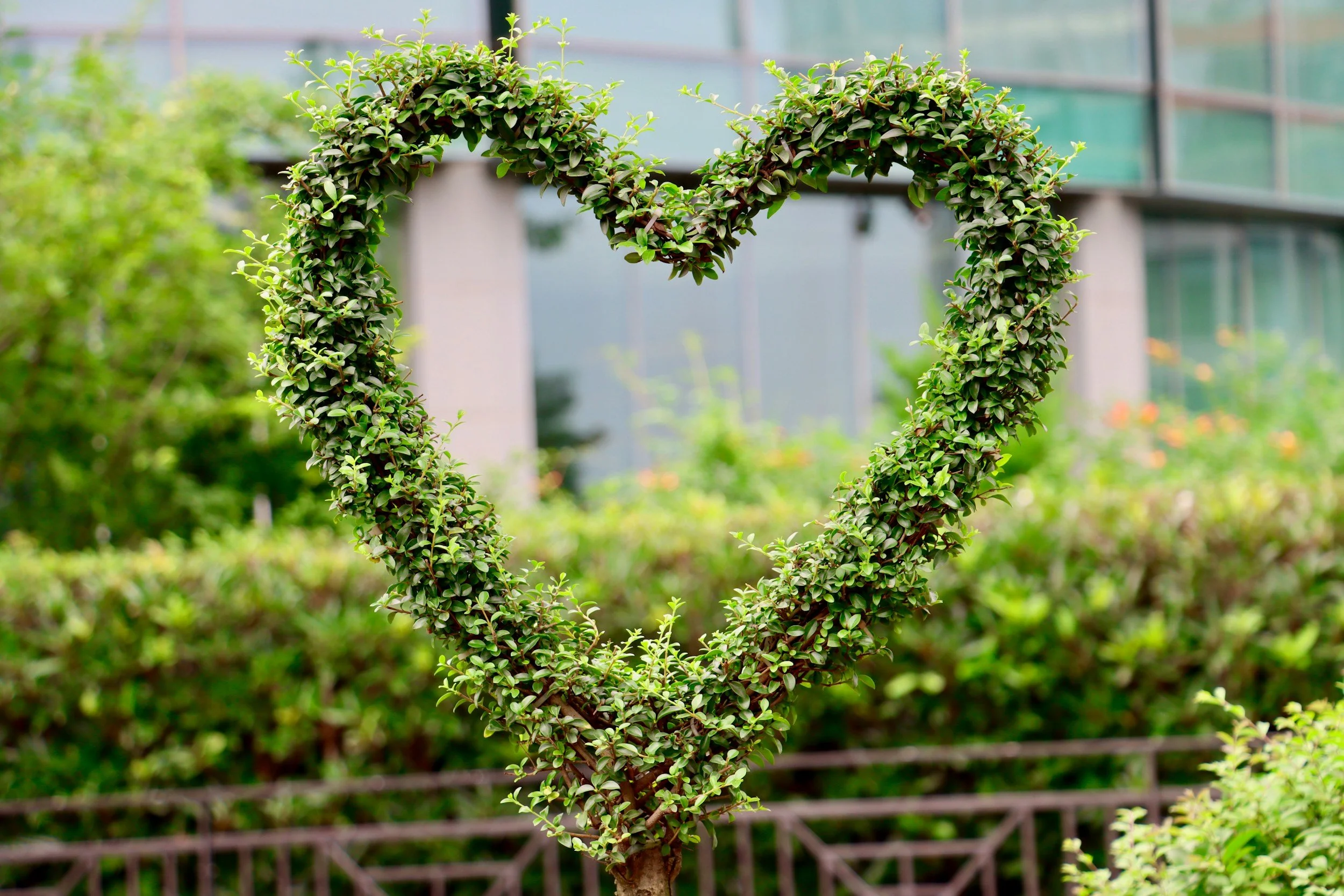 How Evergreen Capital Keeps Community Health Working