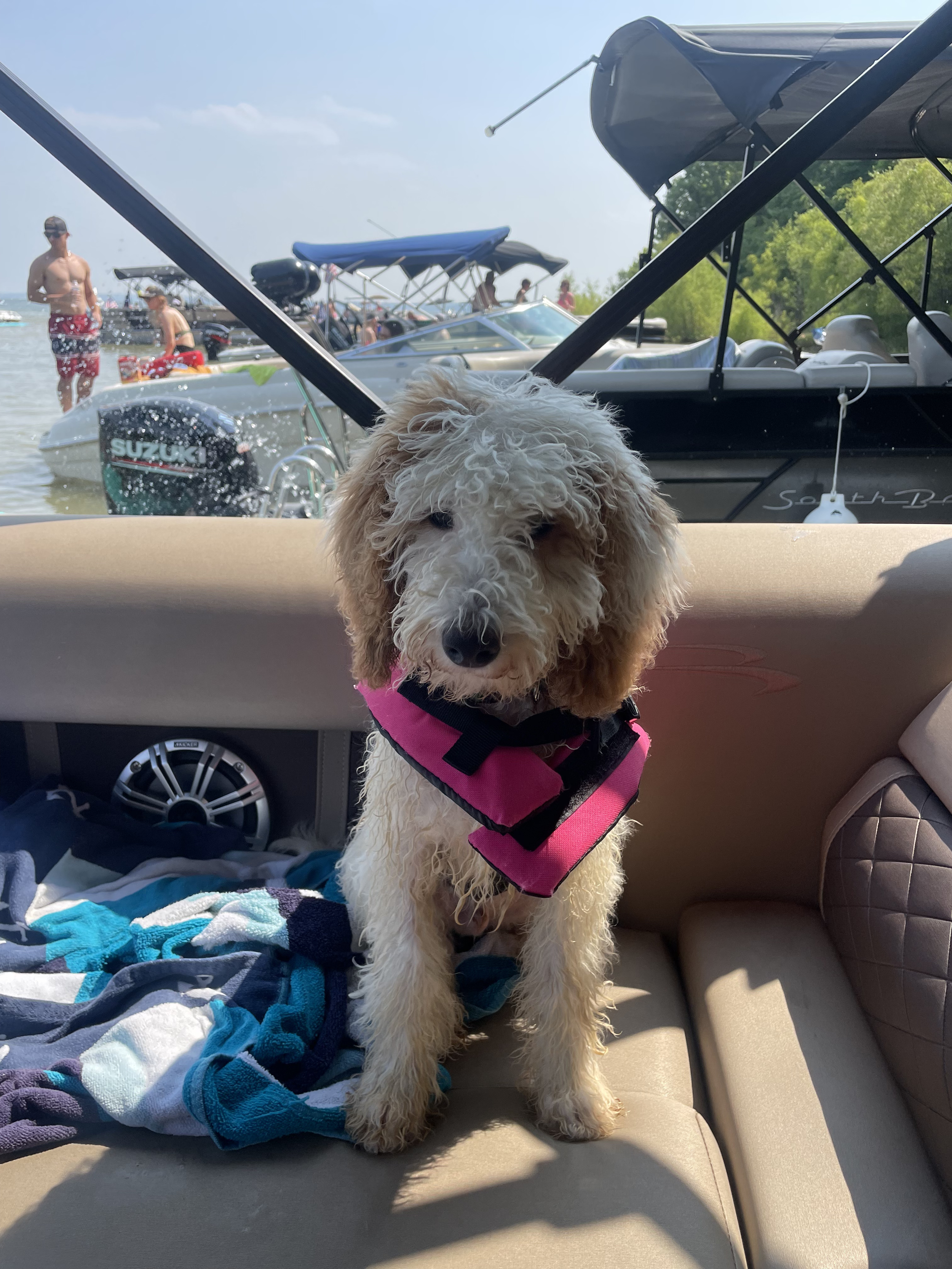 Boat days include you dogs as well on Lake Barkley with Holiday Hills Resort
