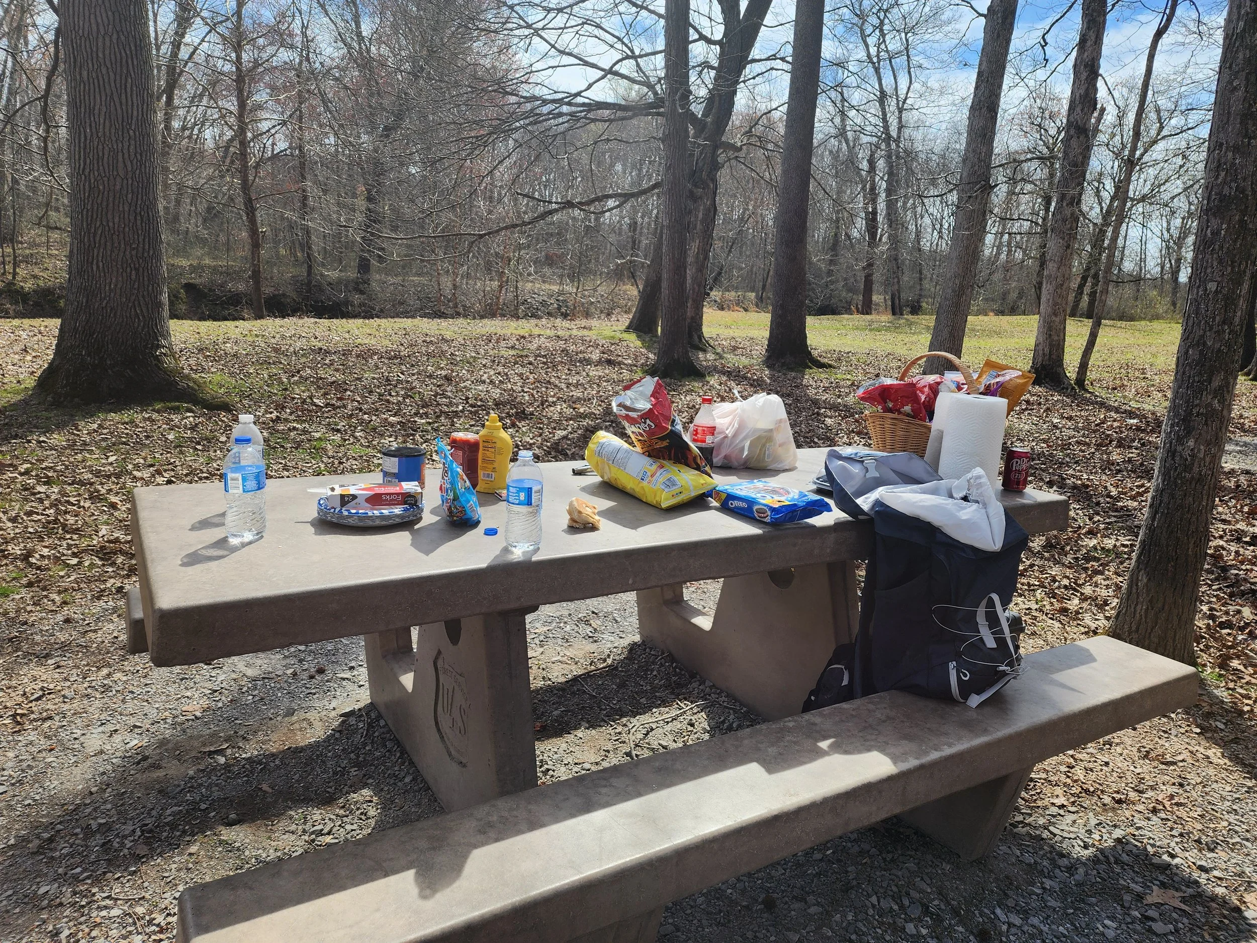 Picnic family outing at hematite lake in land between the lakes near holiday hills resort