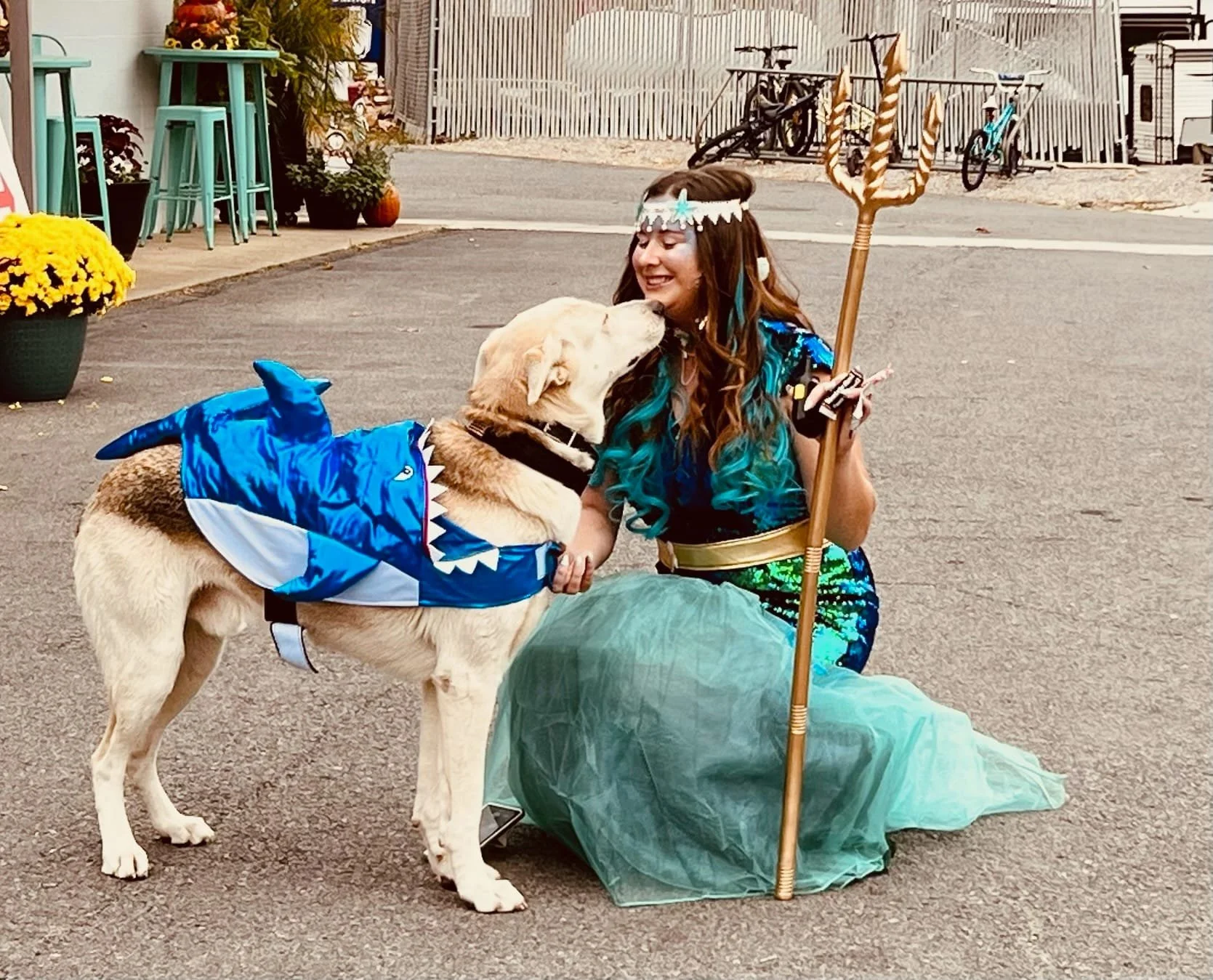 pet friendly cabins & camping at holiday hills resort on lake barkley near land between the lakes.