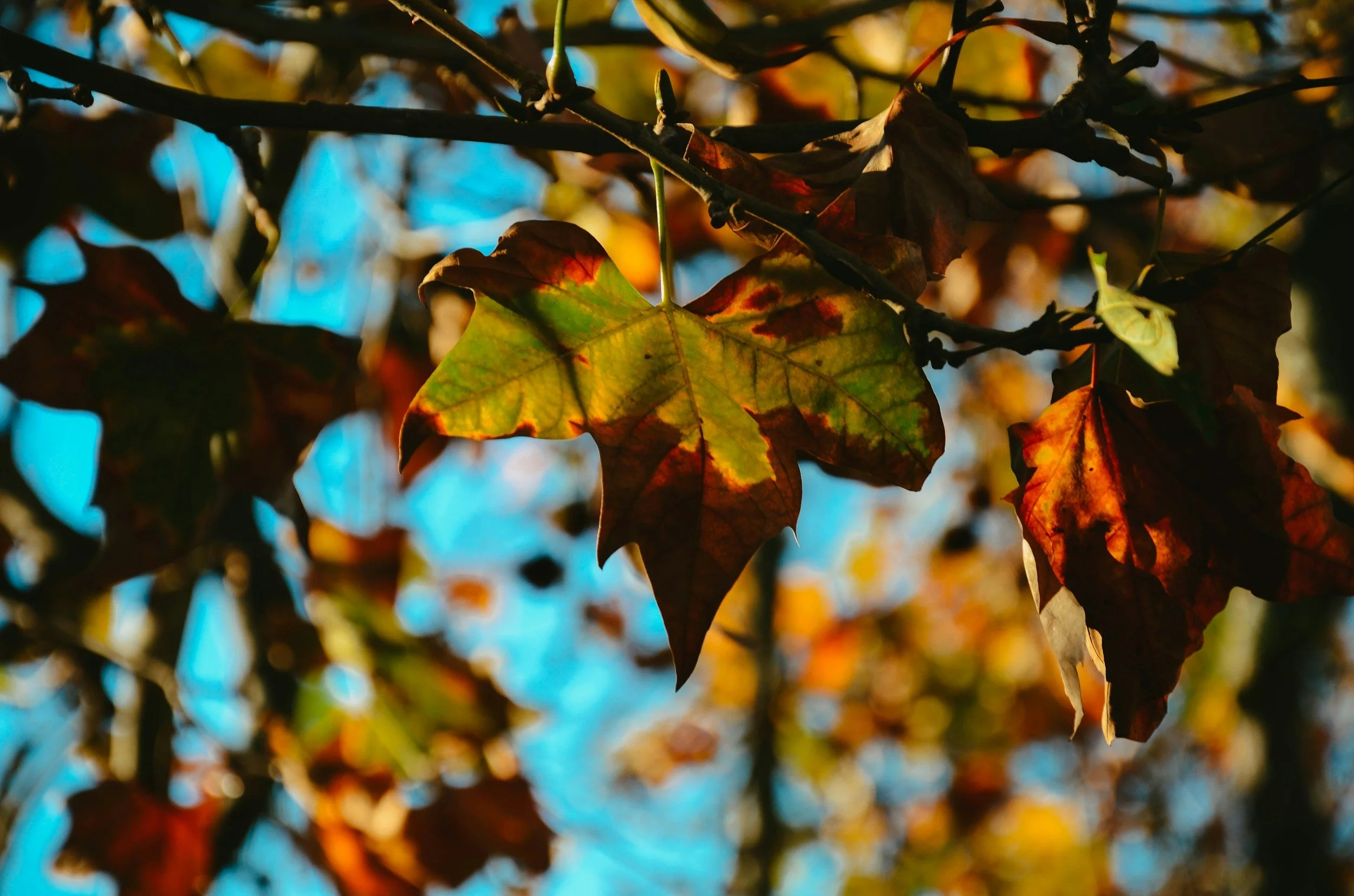 Budget choices will determine success of UK’s growth mission, says CBI