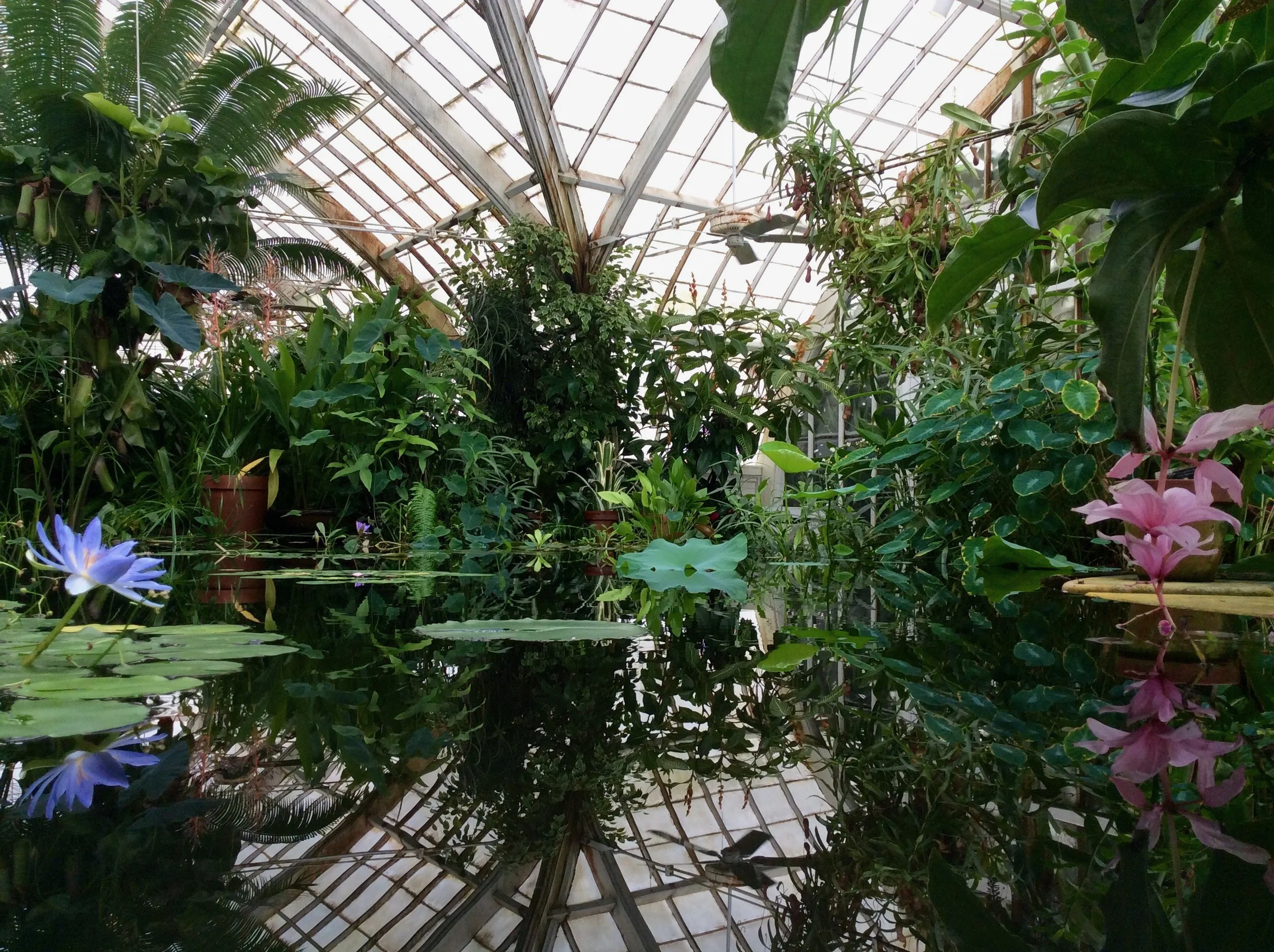 FullSizeRender (1).jpeg