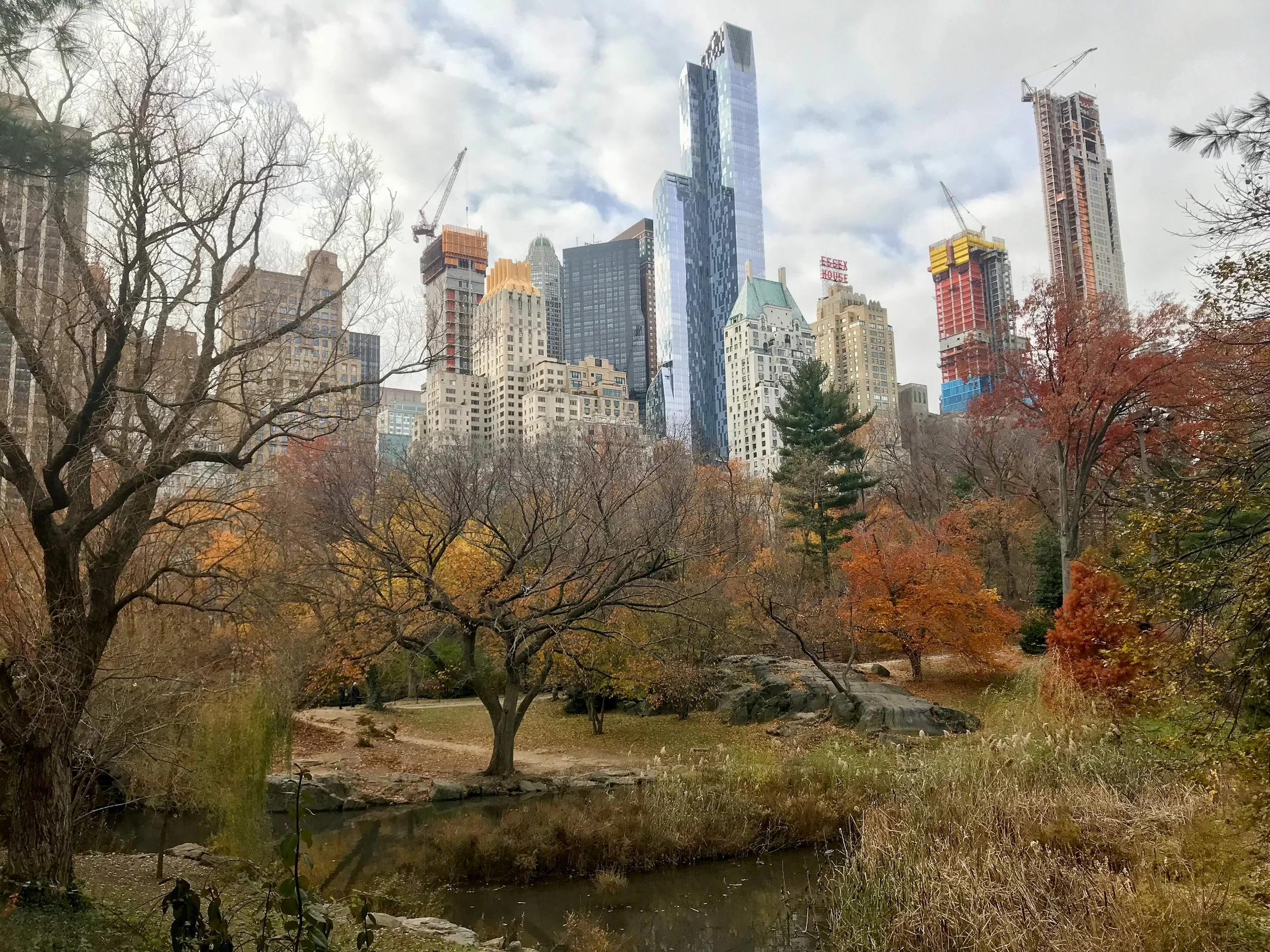 Central Park Autumn Cityscape.JPEG
