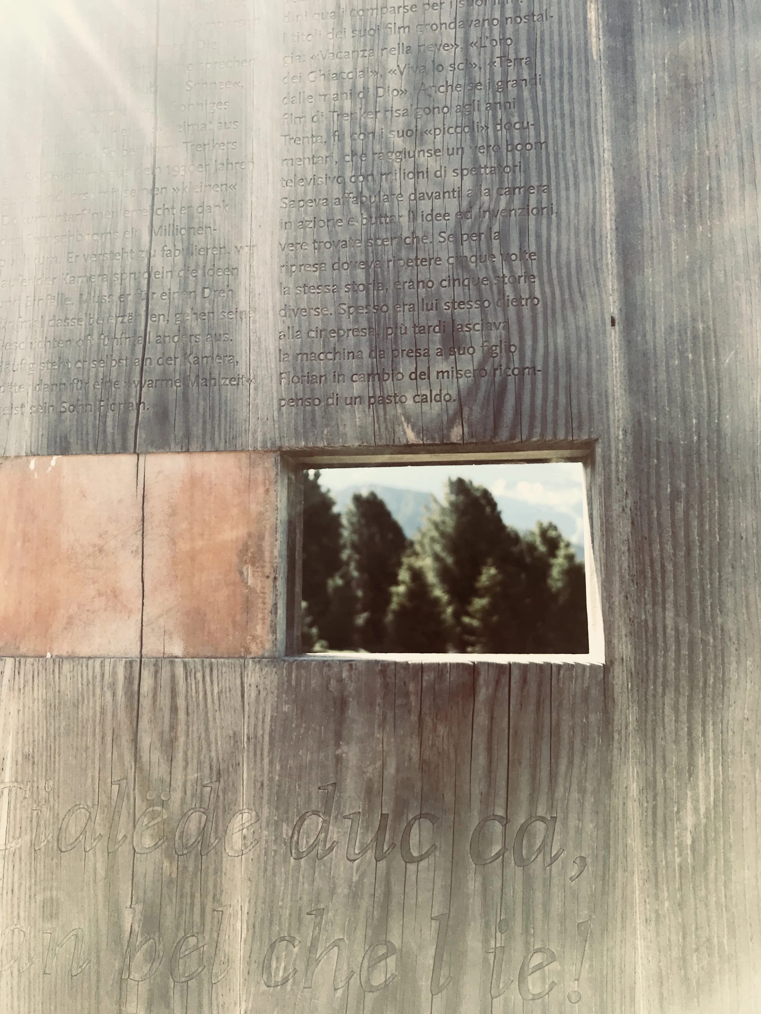 Planche en bois avec texte gravé et une ouverture montrant des arbres à l'arrière-plan.