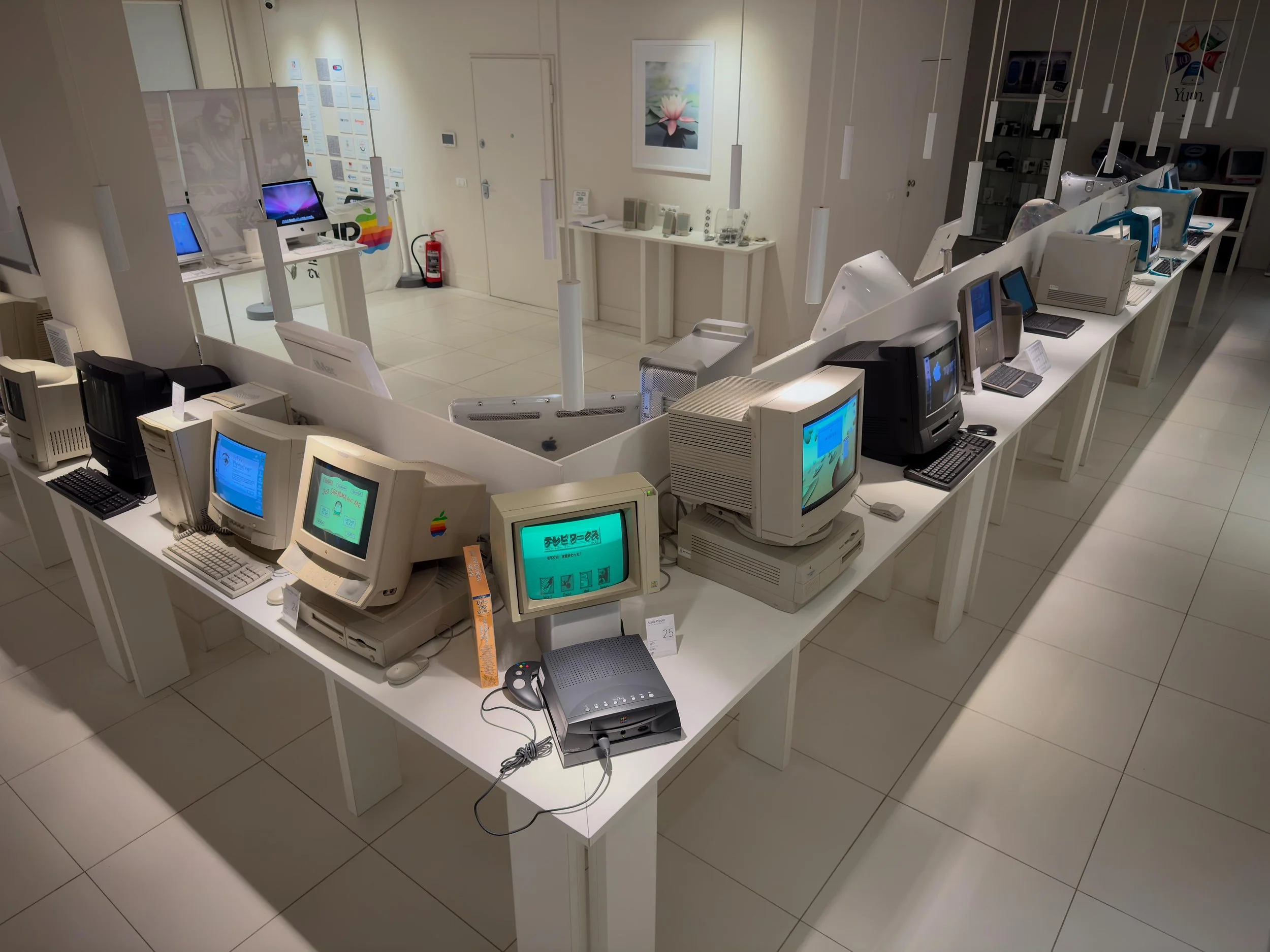 WhatsApp Image 2026-01-15 at 11.14.09.jpeg