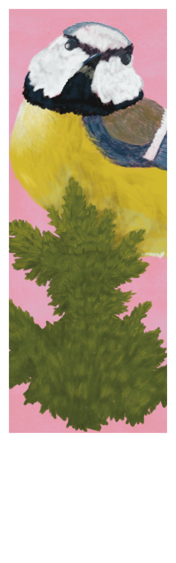 Blue Tit Pink Bookmark.png