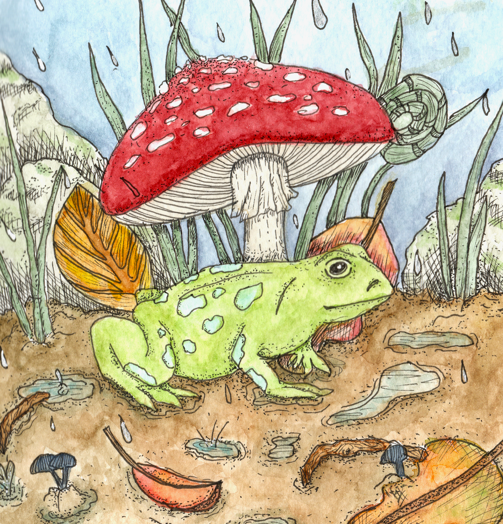 Watercolour Frog And Mushroom Print