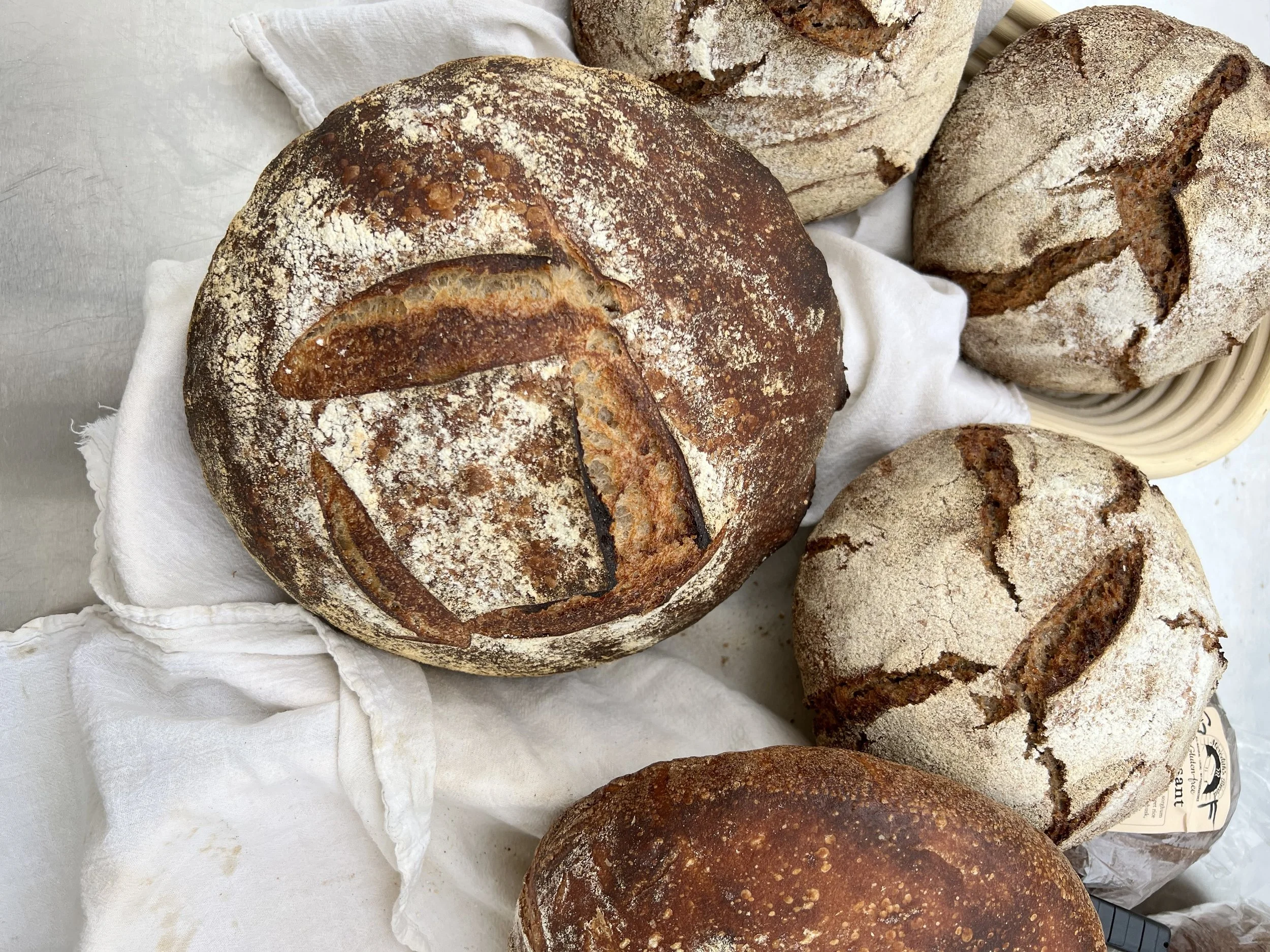 Sourdough bread loaves