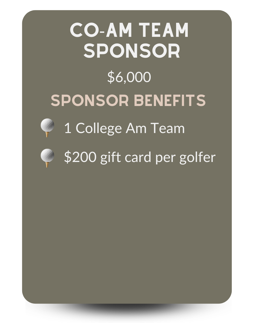 Co-Am Team Sponsor