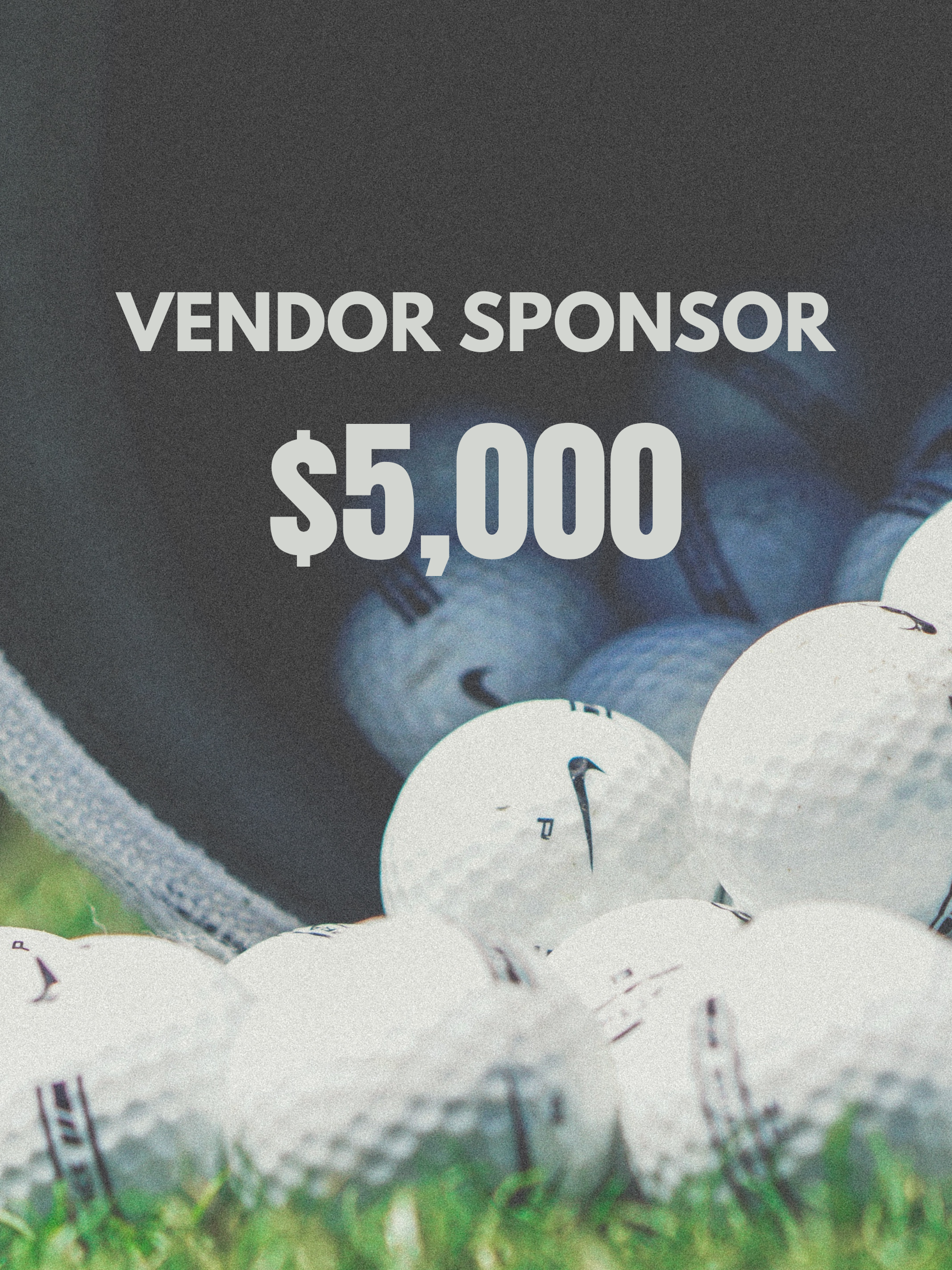 Vendor Sponsor