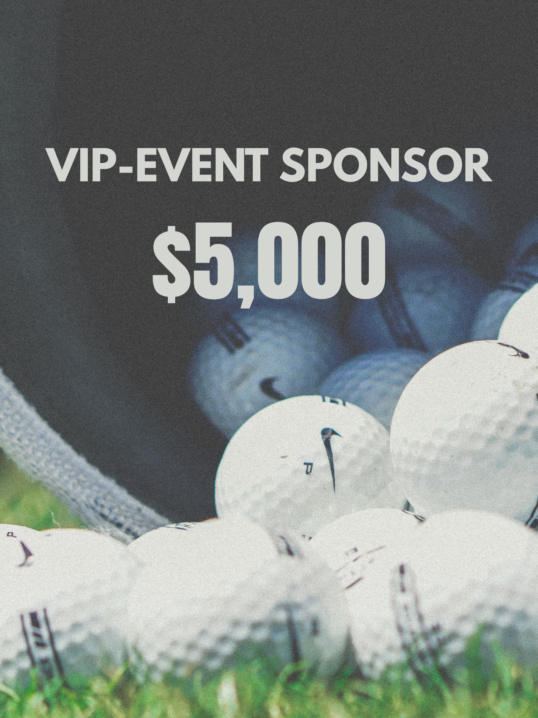 VIP Event Sponsor