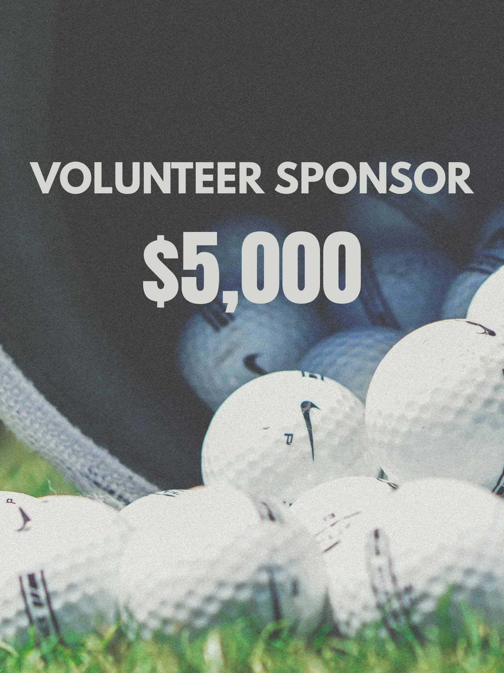 Volunteer Sponsor