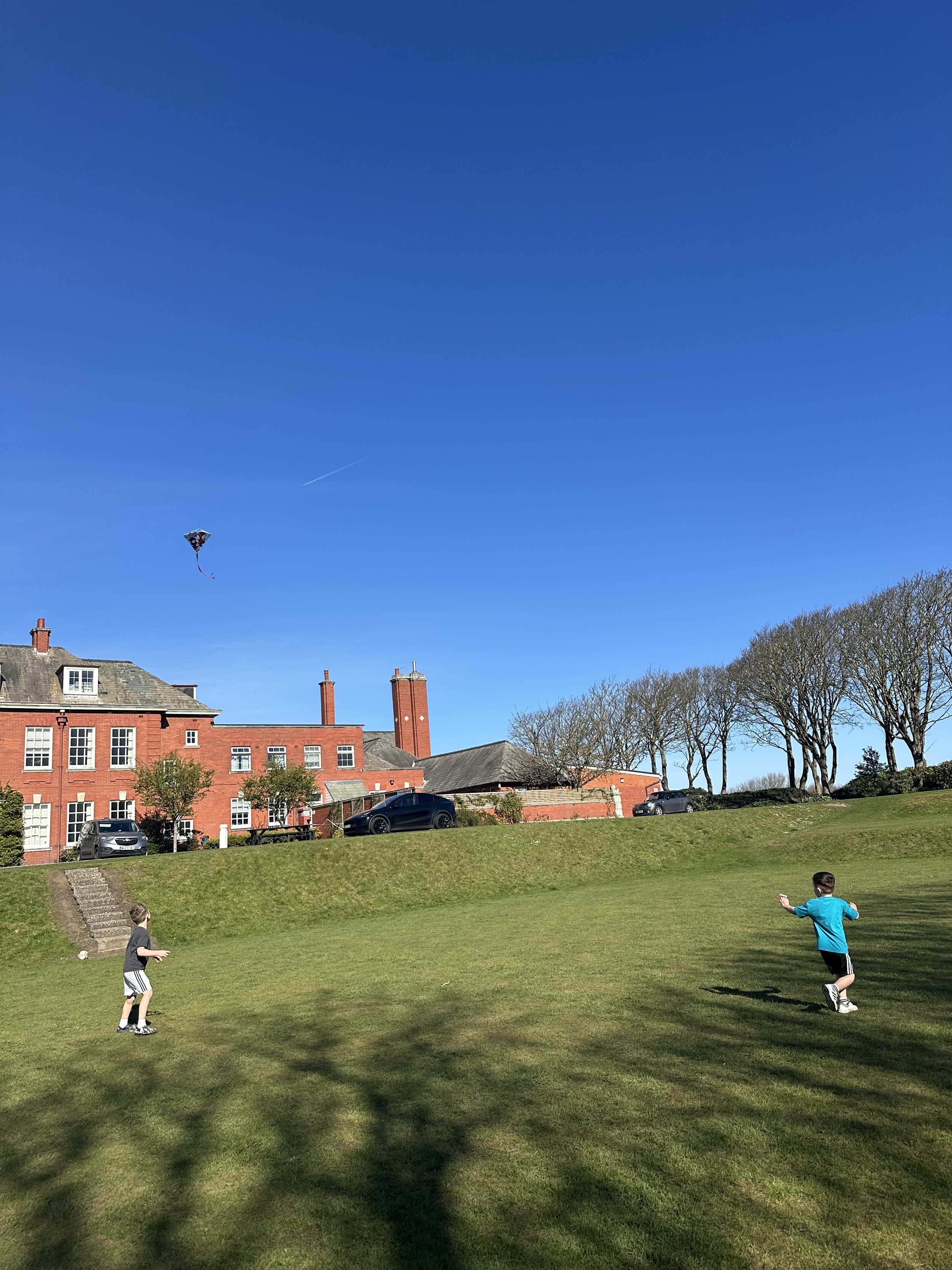 Cheryl Abernethy AKS kites