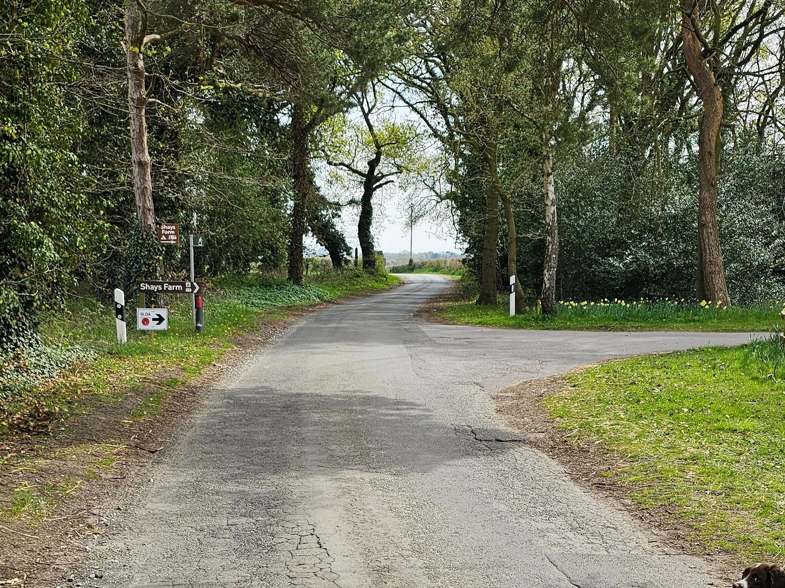 20250412_124824.jpg