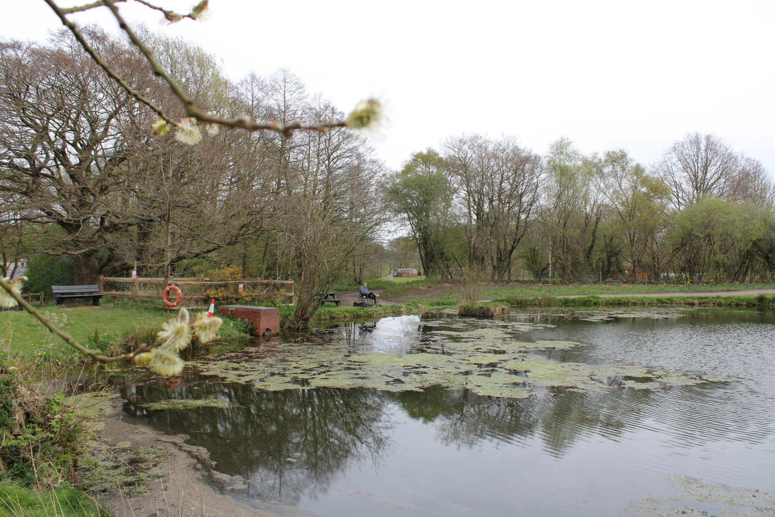 Shays farm fishing.JPG