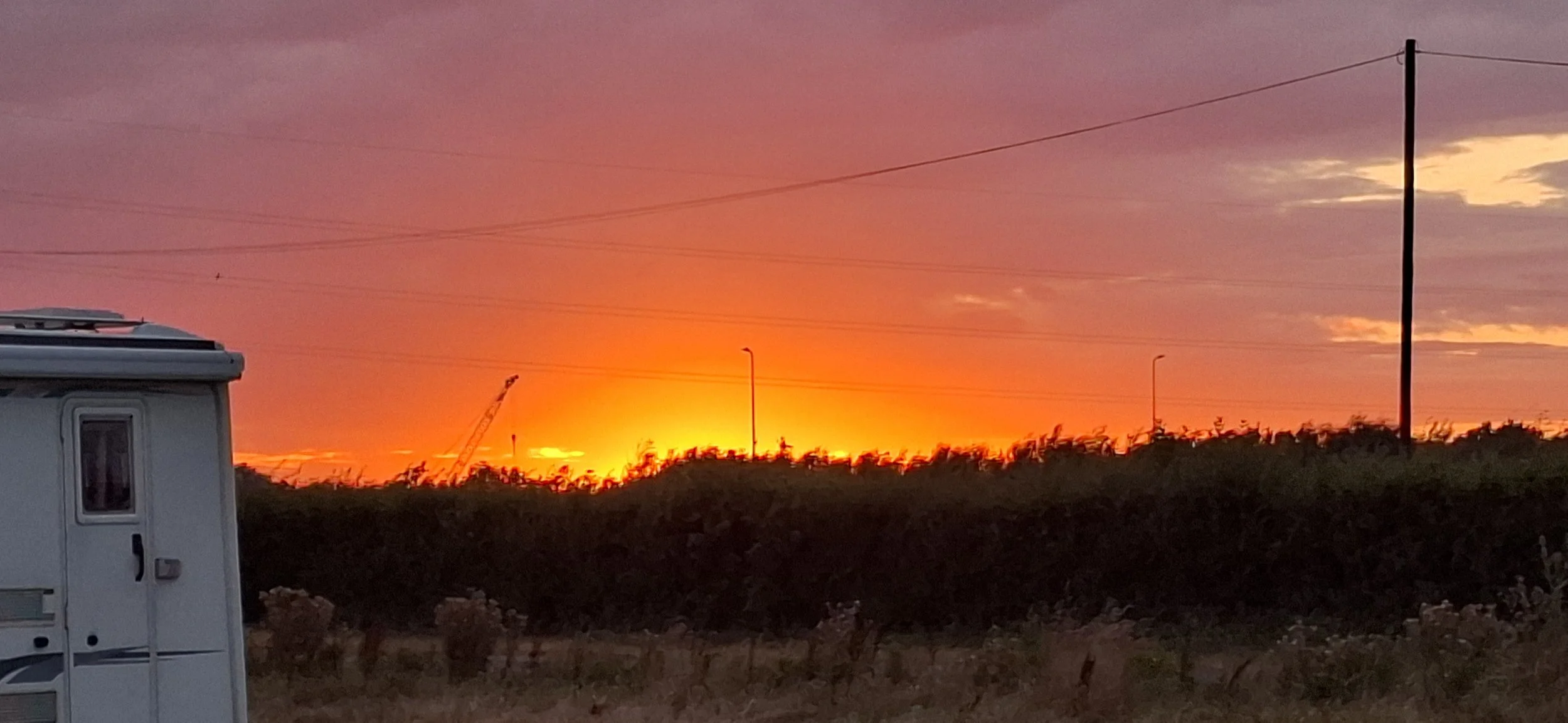 Richard Doyle Farmer Parrs THS sunset  (1).jpg