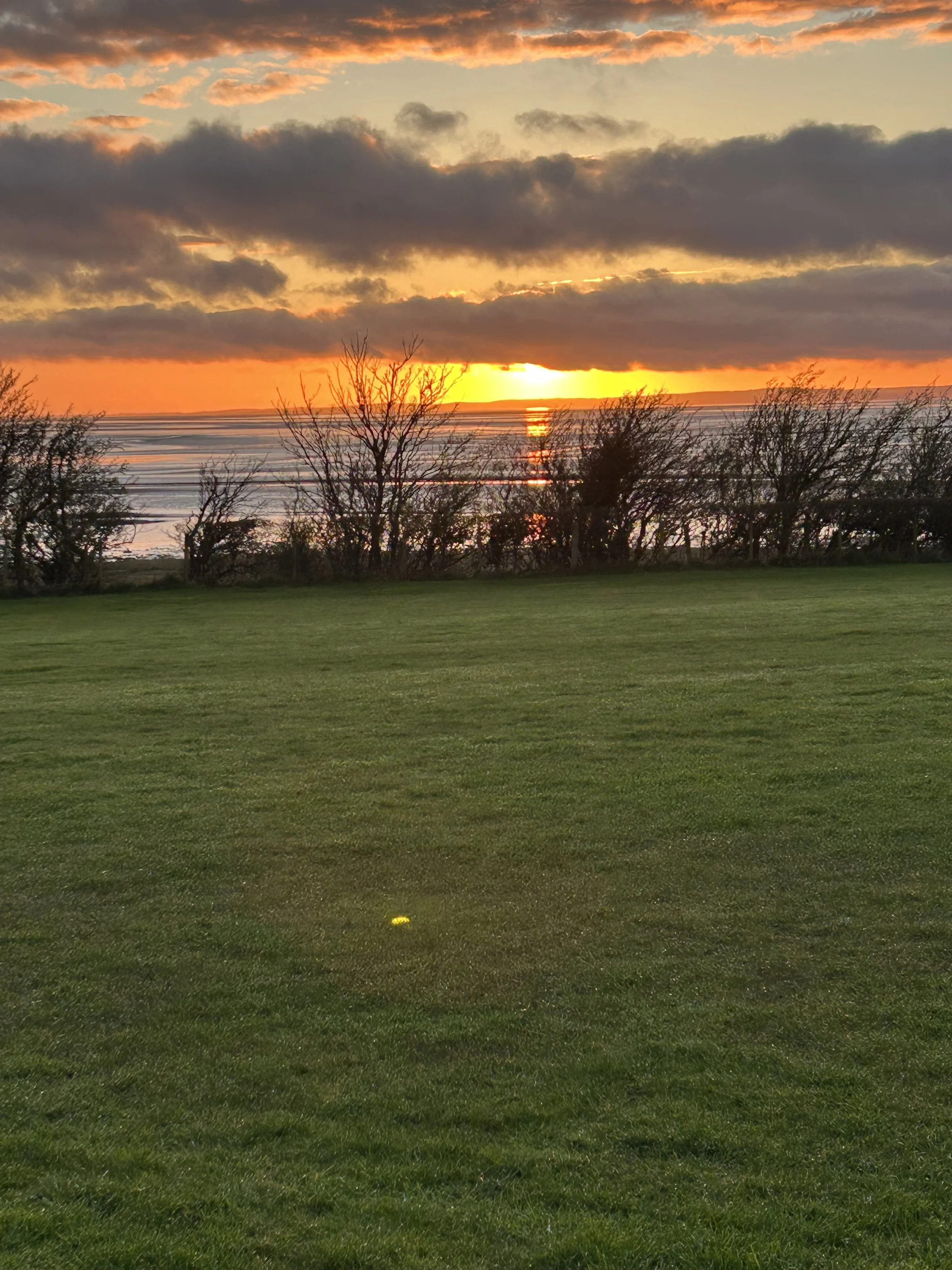 Linda Livsey Bay View sunset (2).jpeg