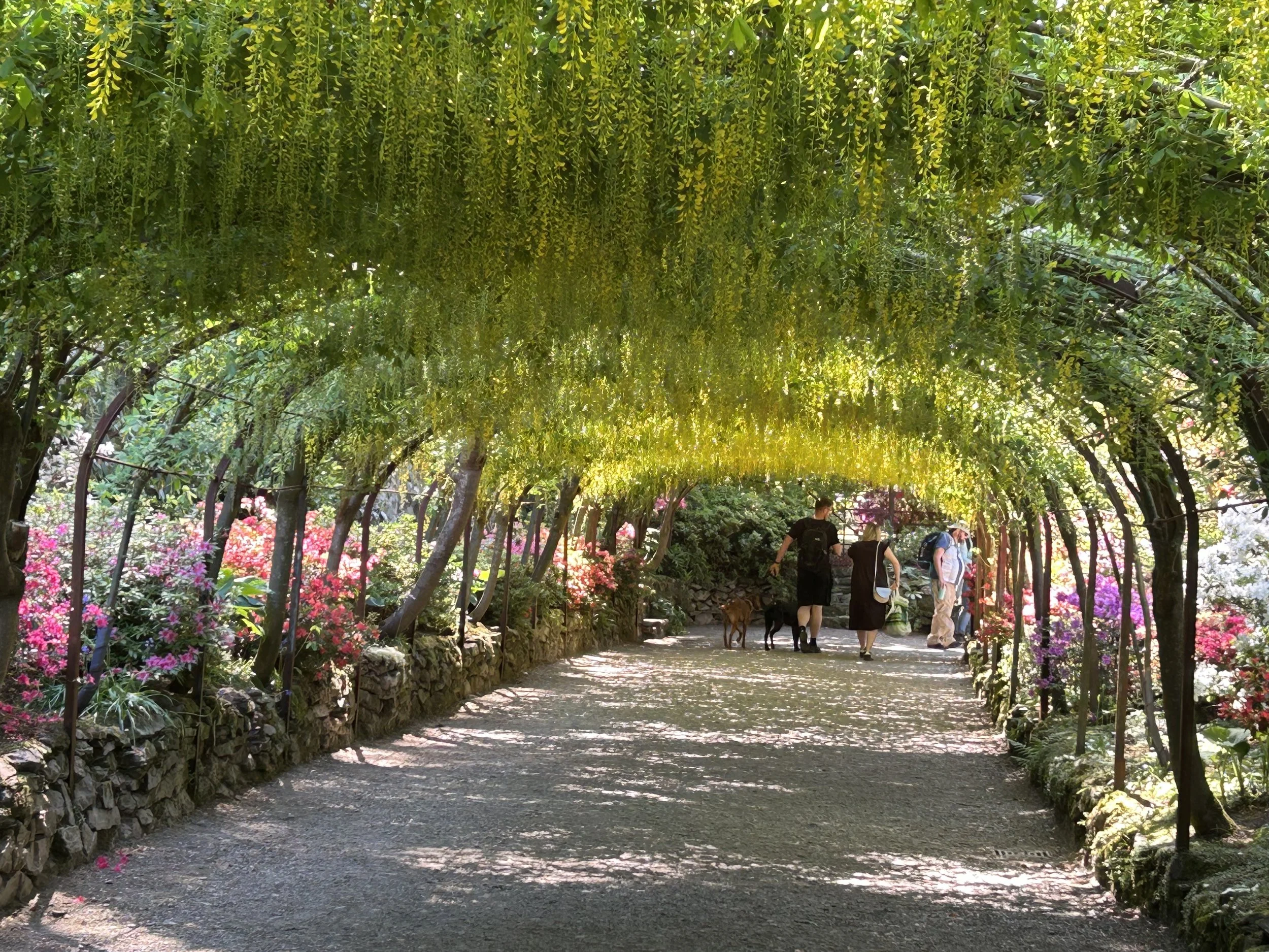 Linda Livsey Bodnat gardens (1).jpeg