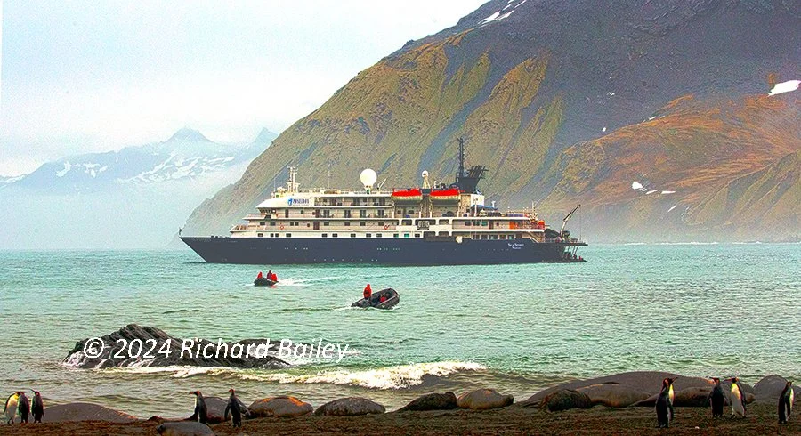A large cruise ship anchored in a fjord with steep, green mountains in the background, penguins on the rocky shore in the foreground, and small boats in the water. Antarctic scene.