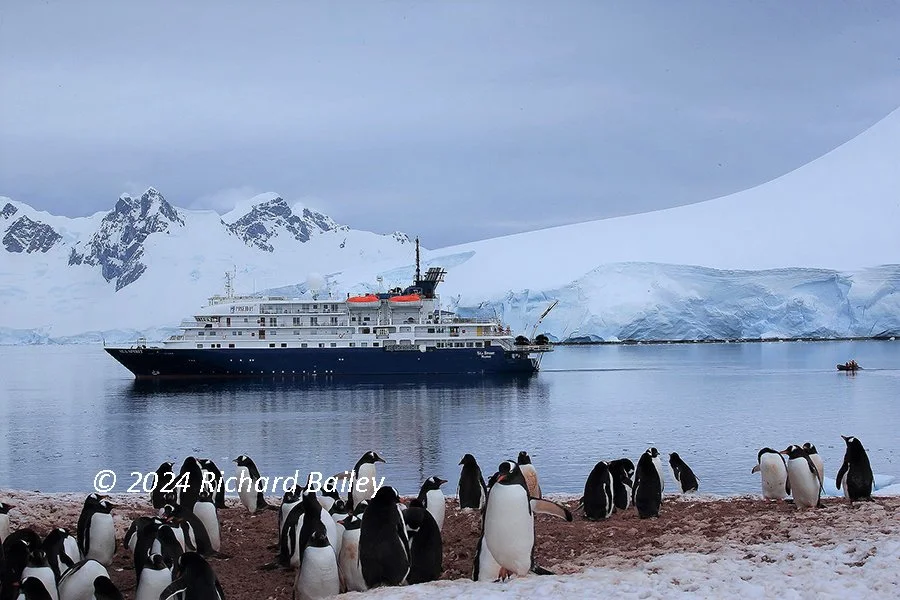The expedition ship Sea Spirit sits in Antarctic waters with penguins on the shore in the foreground and ice-covered mountains behind.