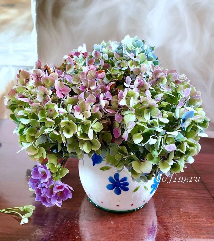 Cut hydrangea blooms in shades of blue, pink and cream arranged in a decorative vase on a wooden table