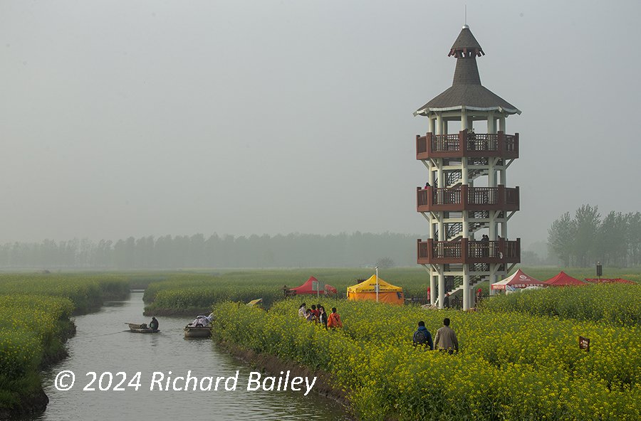 A scenic view of a tall observation tower surrounded by fields of flowering plants. A narrow water channel runs through the field with people in boats. Yellow and red tents are visible near the tower, and there are people walking along paths in the field.