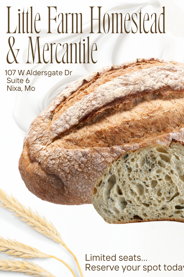 Sourdough Starter Class