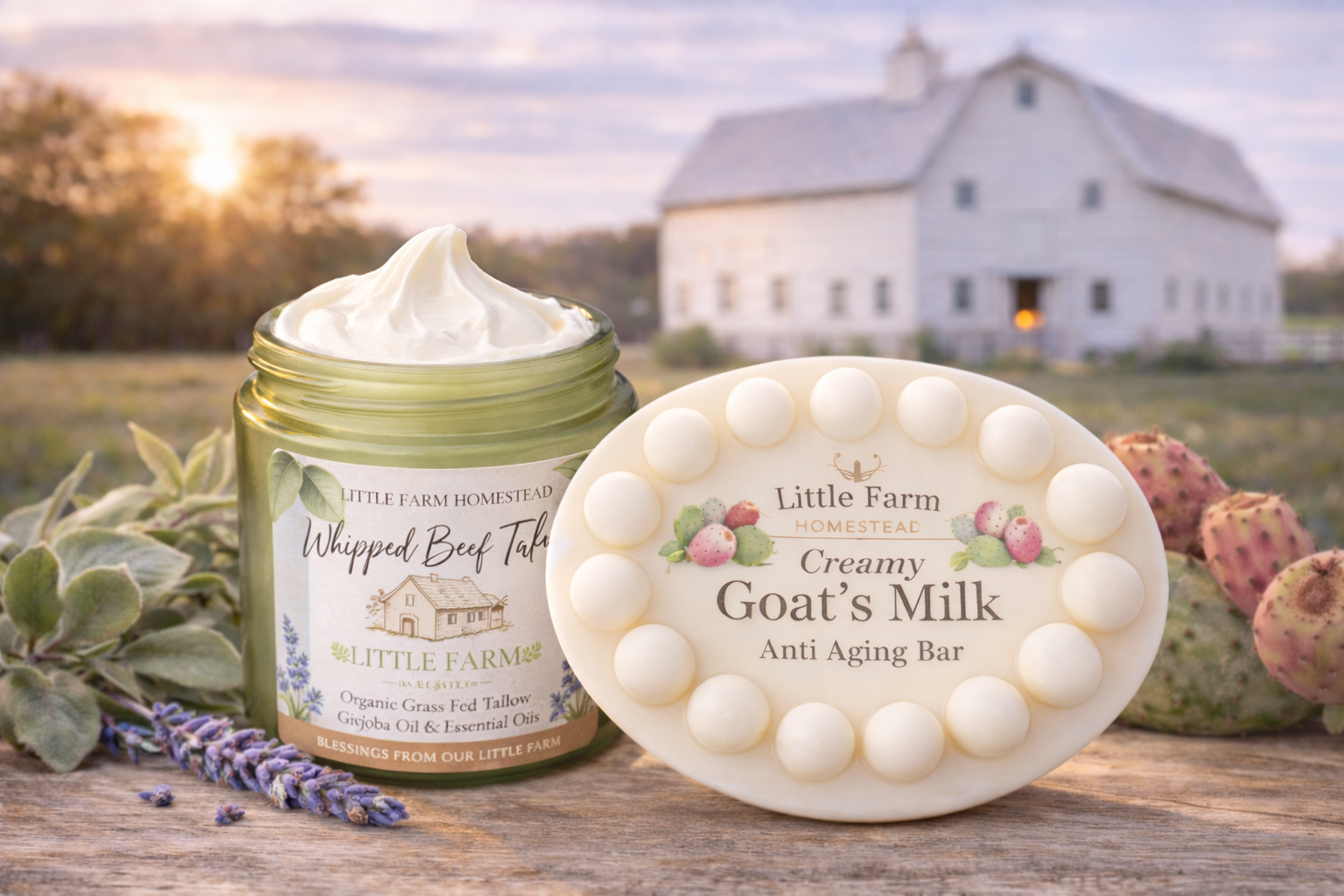 Prickly Pear Anti Aging Kit