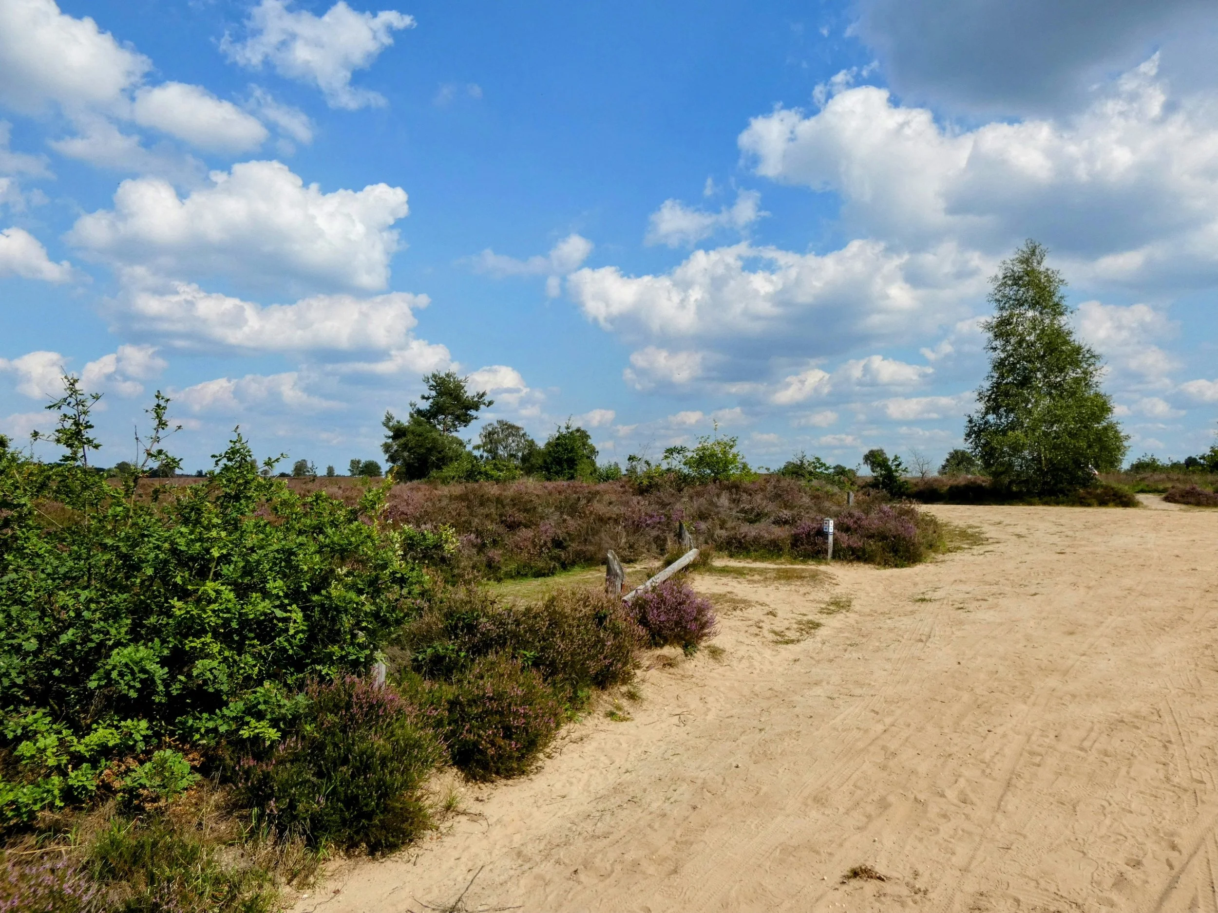 Aardgasvrij Ermelo