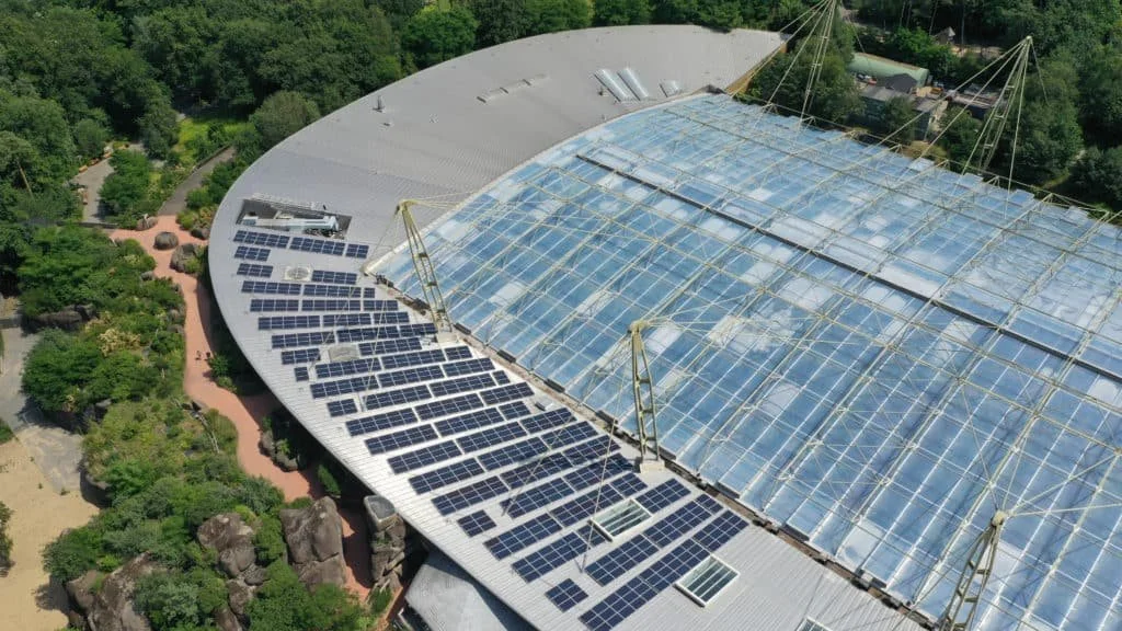 Zonnepanelen Koninklijke Burgers’ Zoo