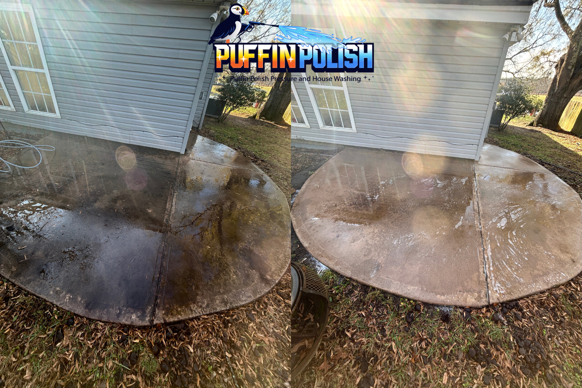 Untitled design (17).png