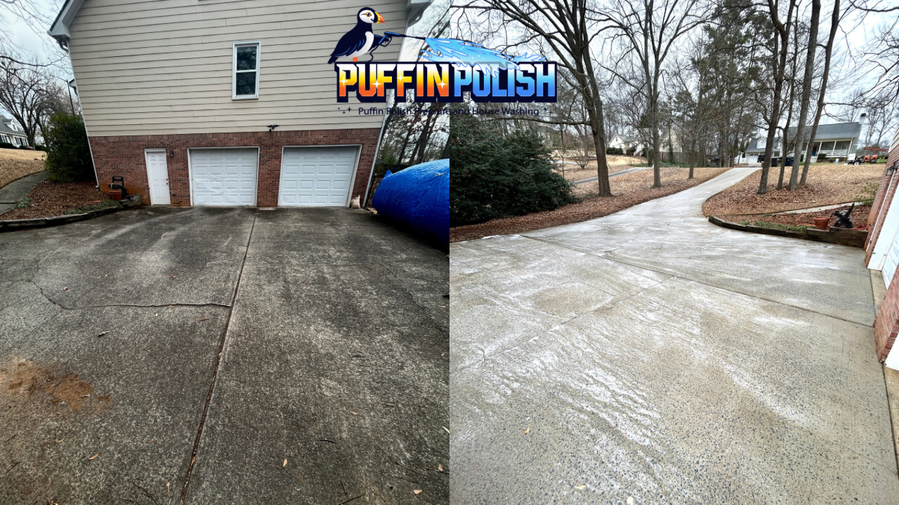 Untitled design (28).PNG